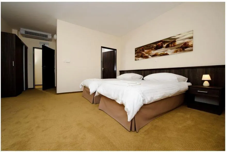Double or Twin Room - single occupancy in Hotel Mariana Gaborika