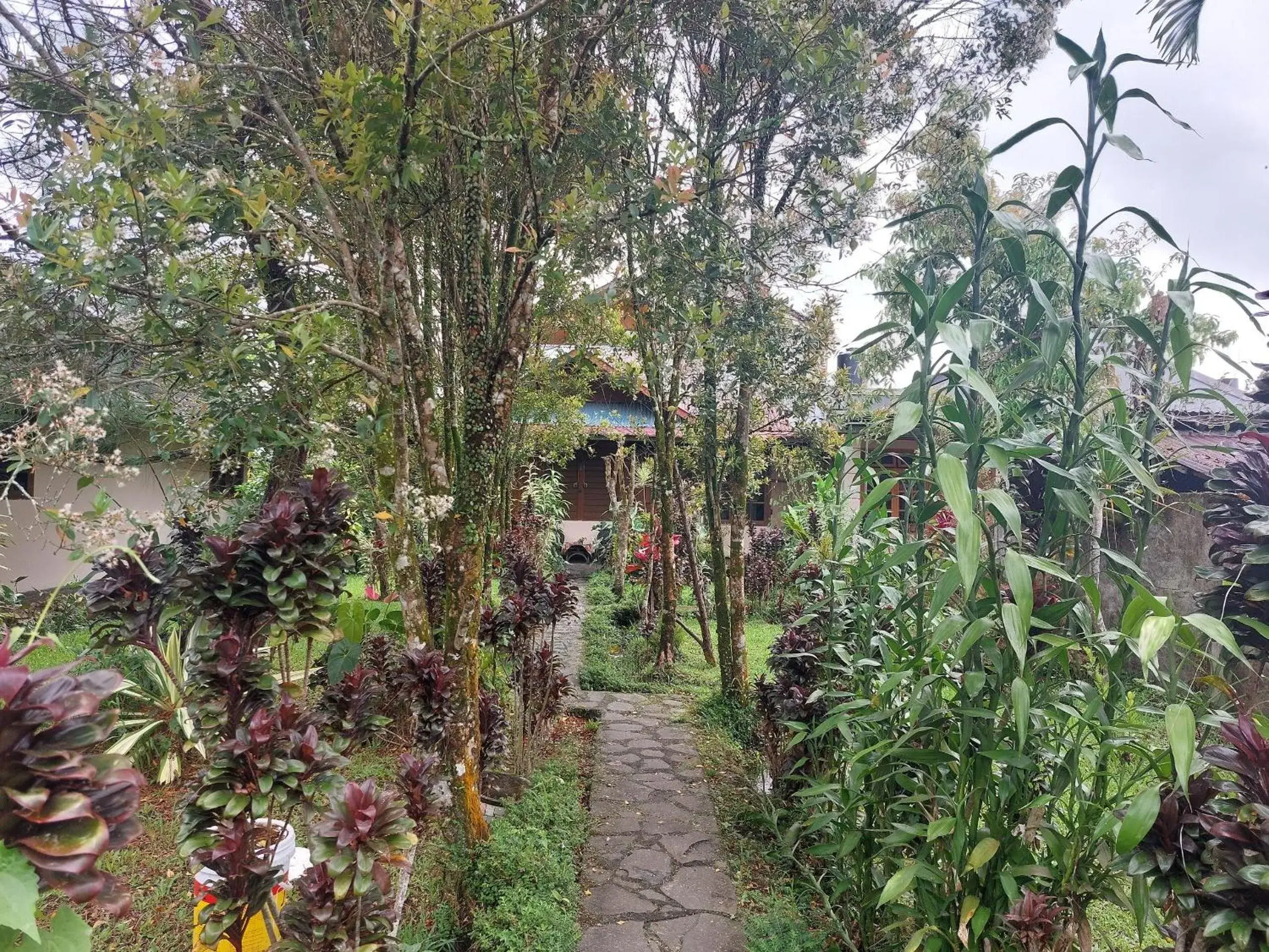 Garden in Mountain View Homestay Garden in Mountain View Homestay