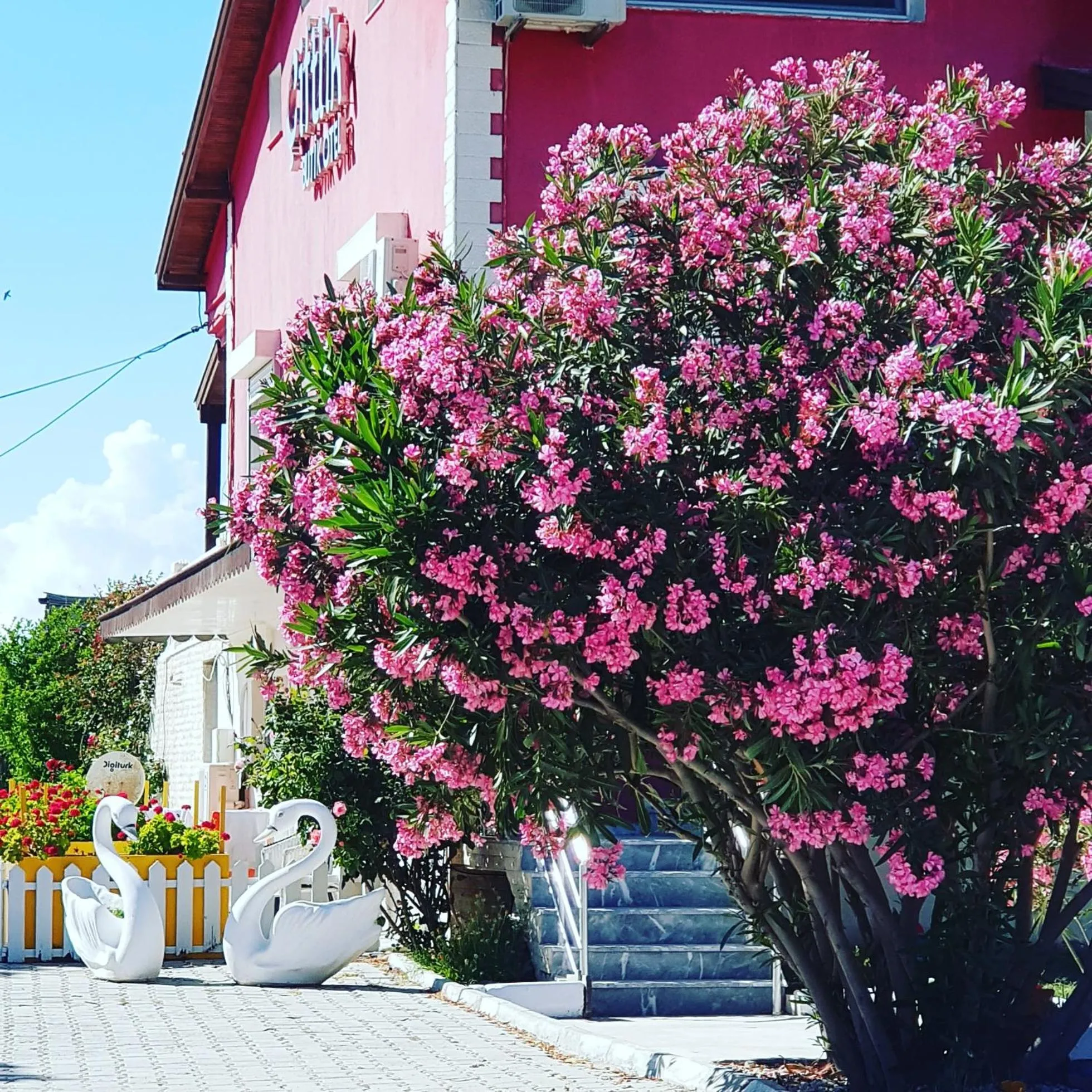 Ciftlik Hotel