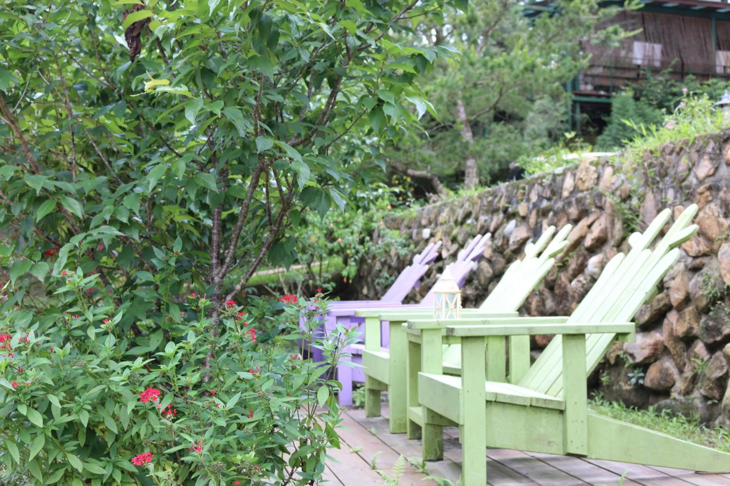 Garden in Bear Meets Moose Homestay B&B