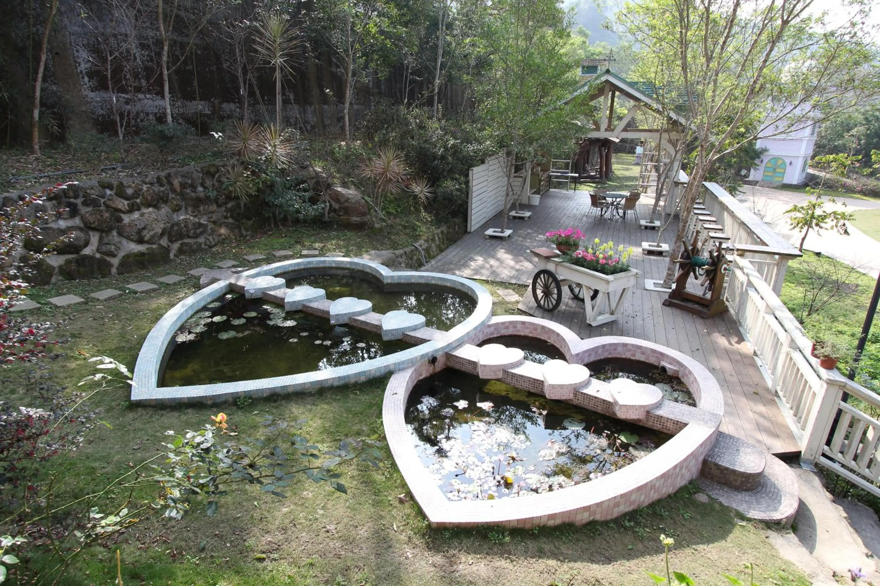 Garden view in Bear Meets Moose Homestay B&B
