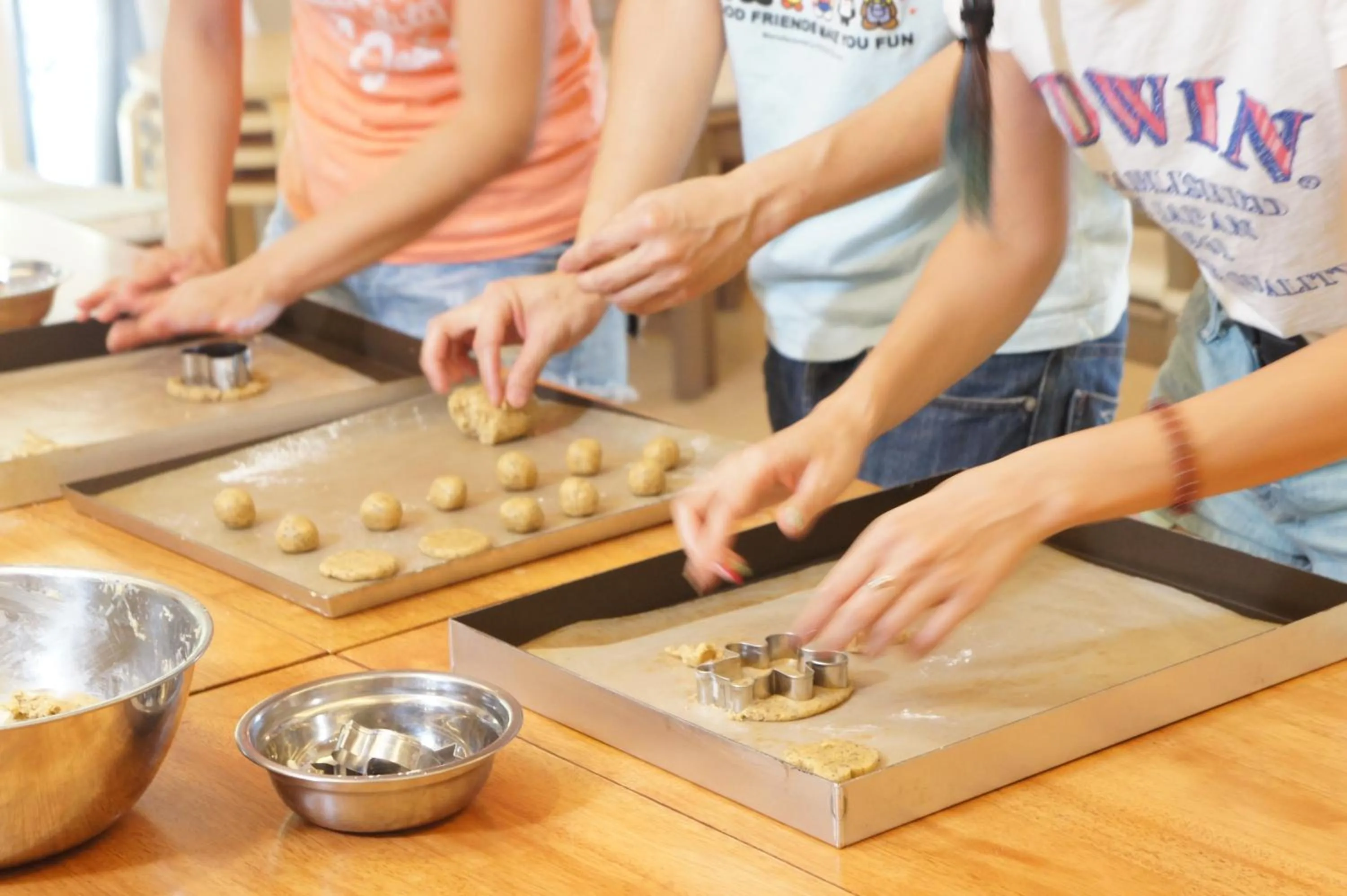 Activities in Bear Meets Moose Homestay B&B