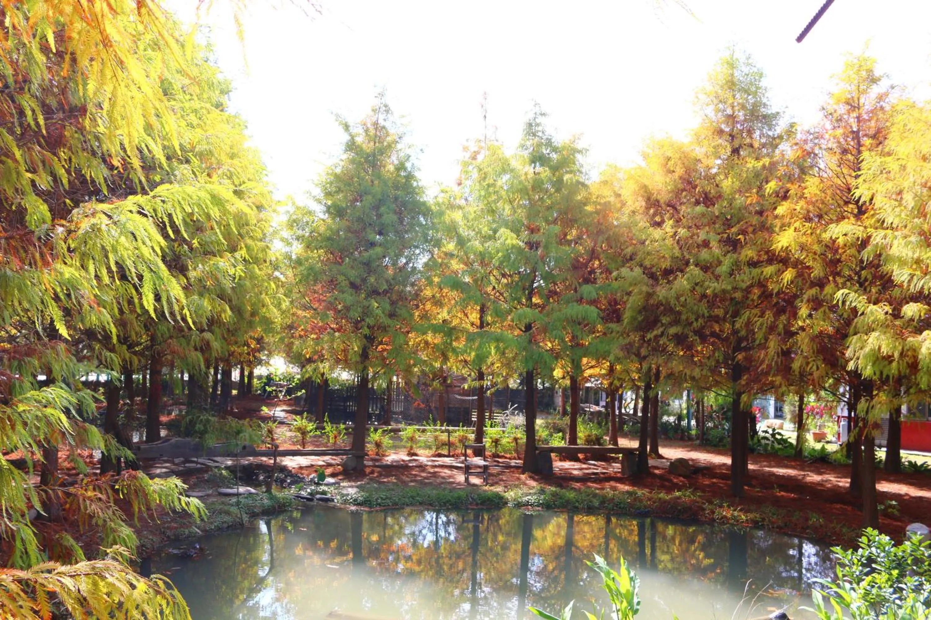 Nearby landmark in Bear Meets Moose Homestay B&B