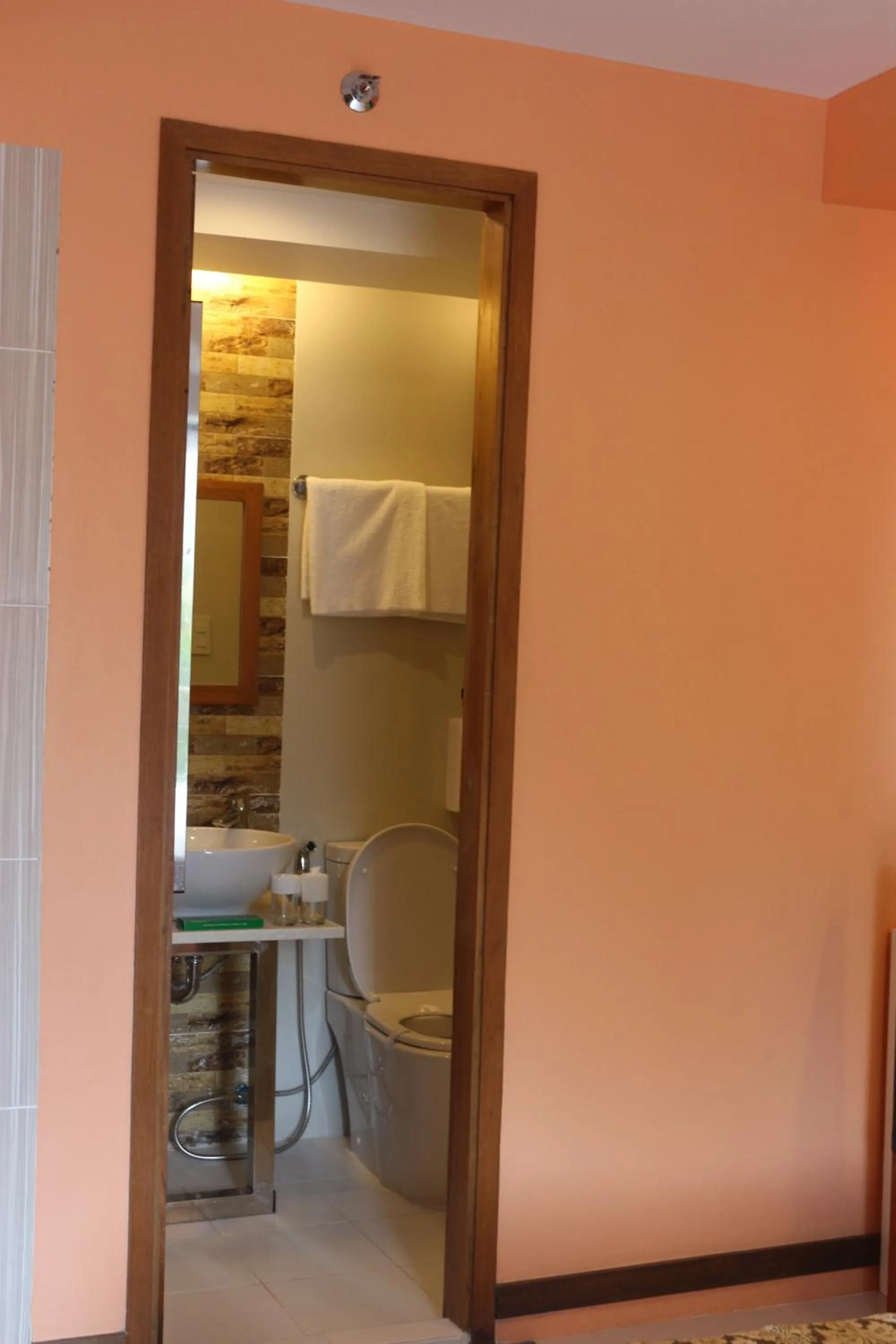 Bathroom in Eurotel Boracay