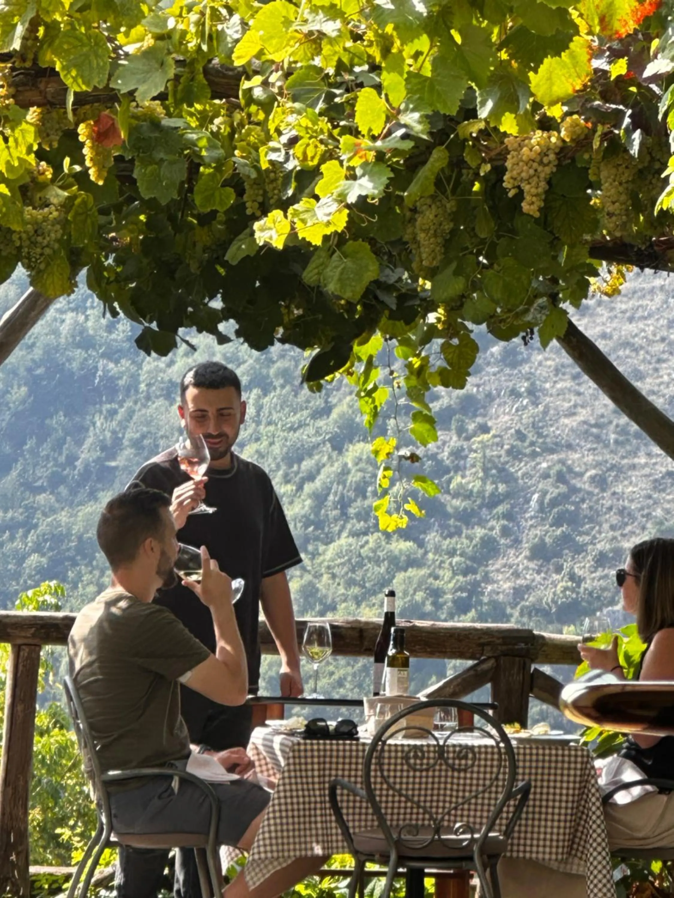 Restaurant/places to eat in Reale Wine Resort