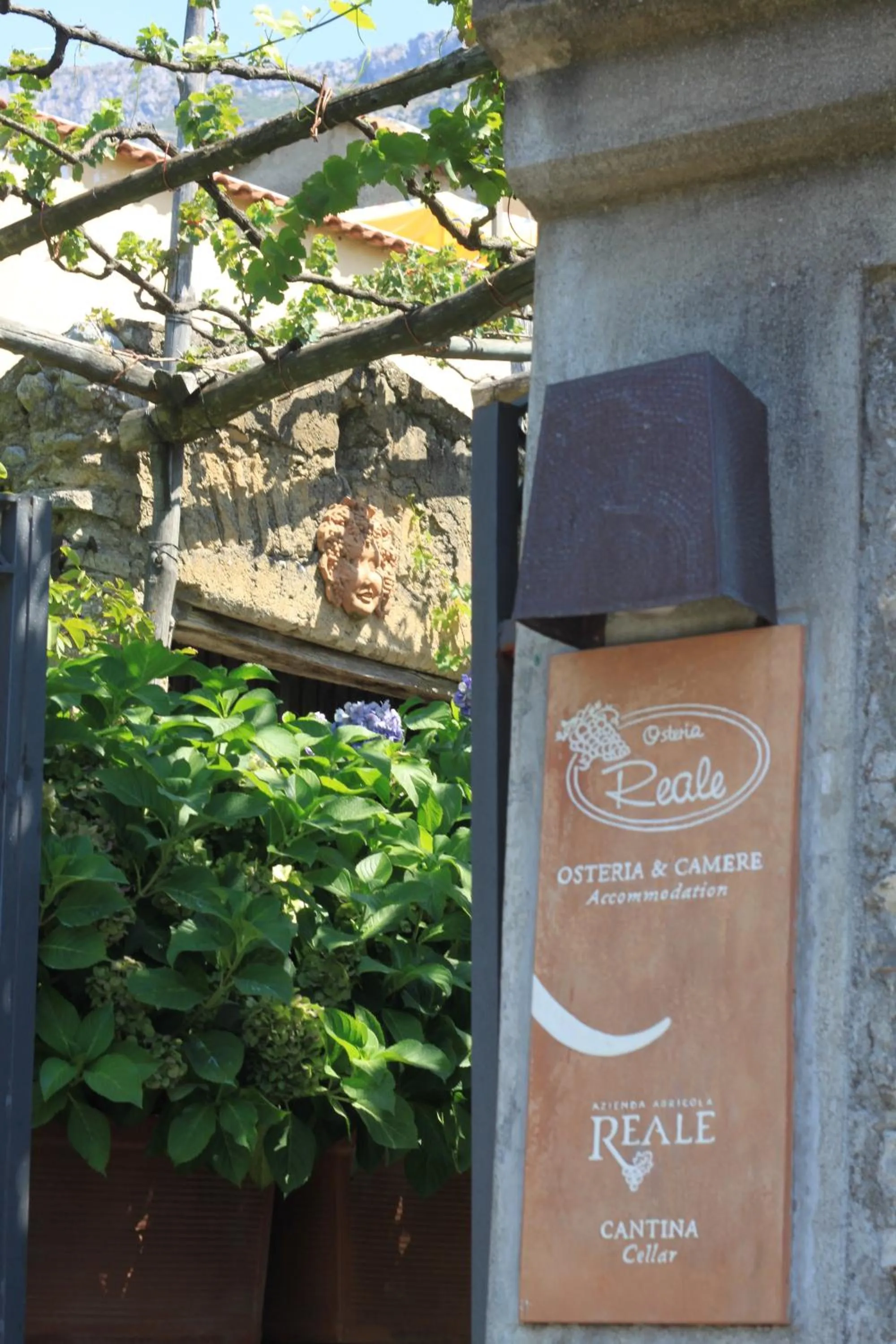 Property building in Reale Wine Resort