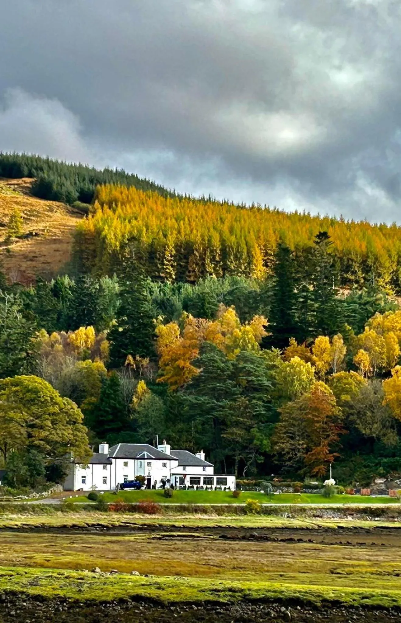 Natural landscape in The Strontian Hotel