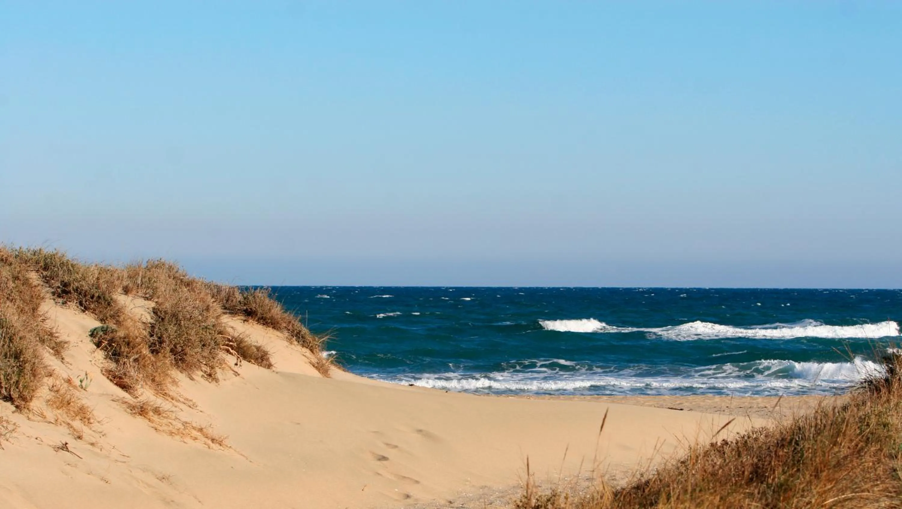 Beach in Résidence Les Flamants Roses