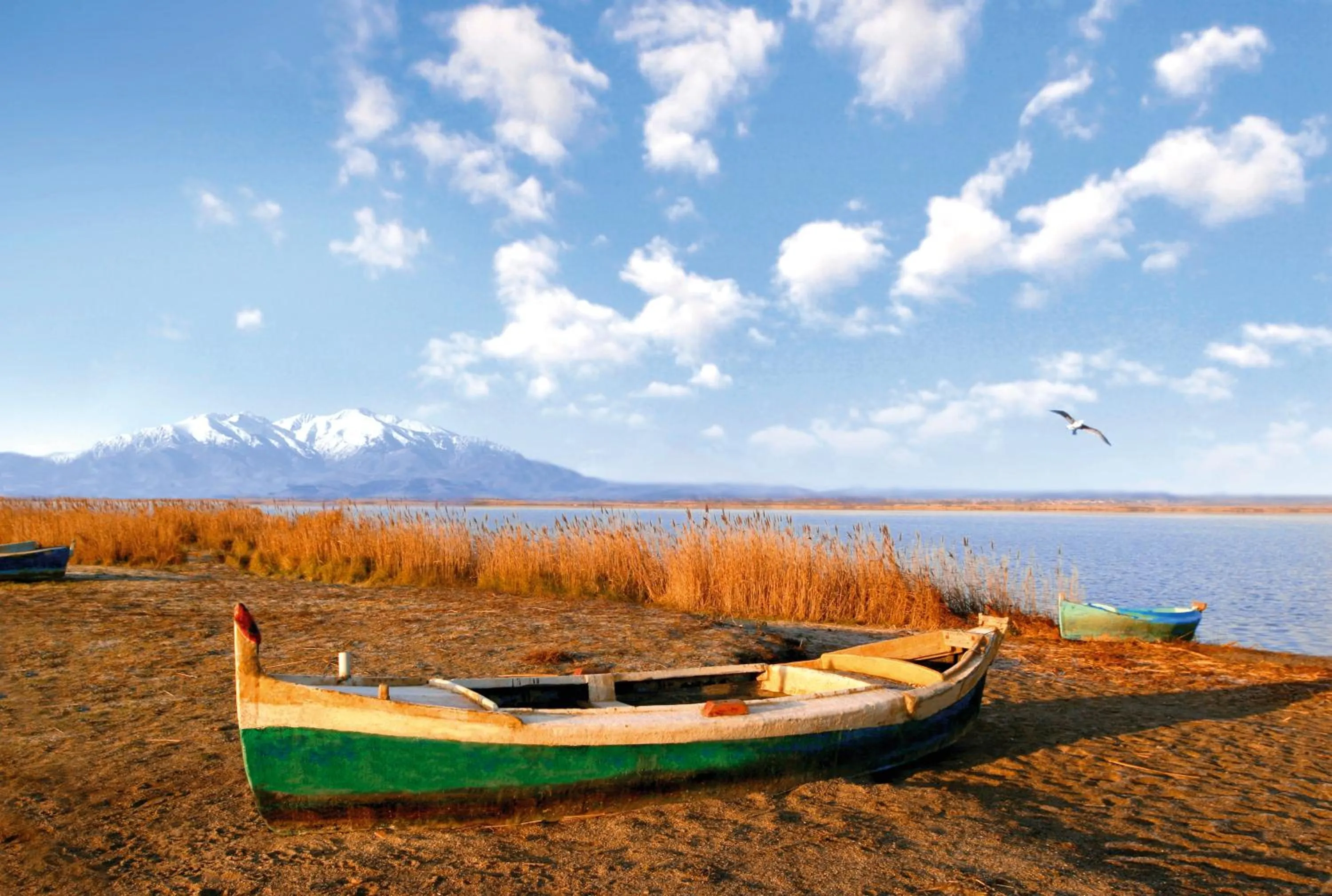 Natural landscape in Résidence Les Flamants Roses