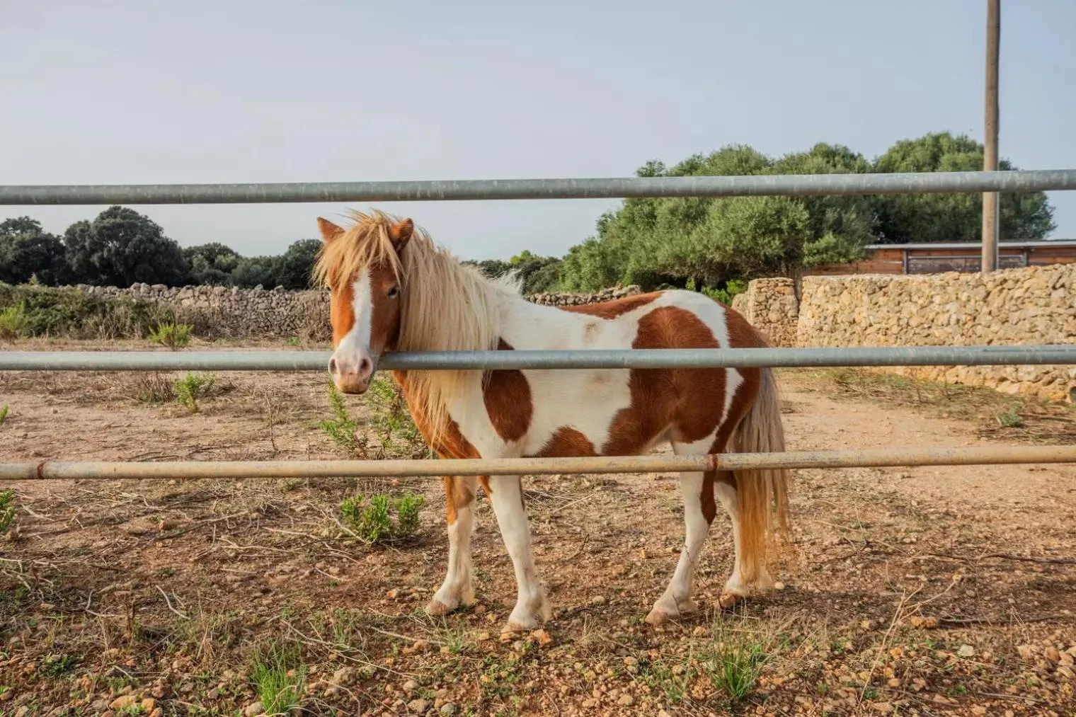 Menorca Agroturismo Llimpet