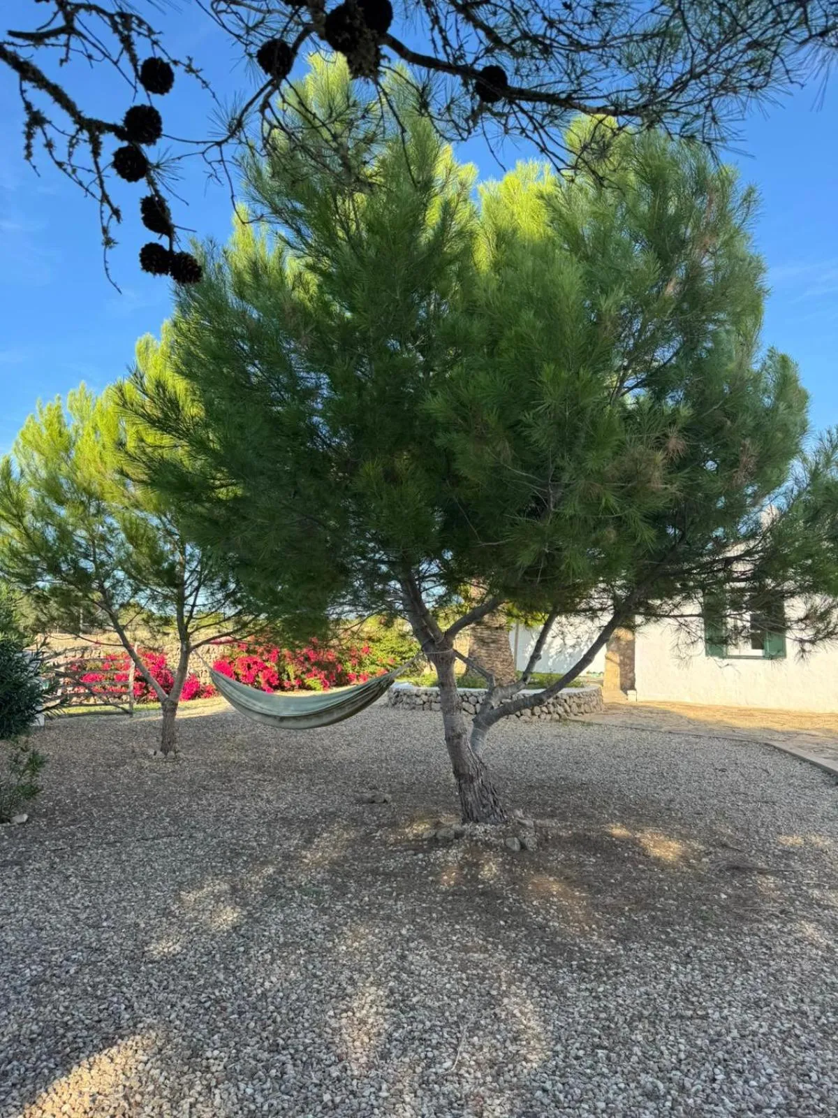 Menorca Agroturismo Llimpet