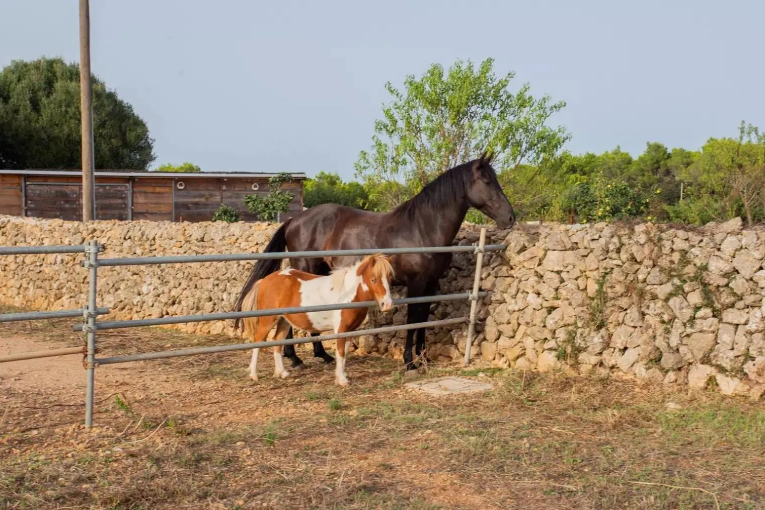 Menorca Agroturismo Llimpet