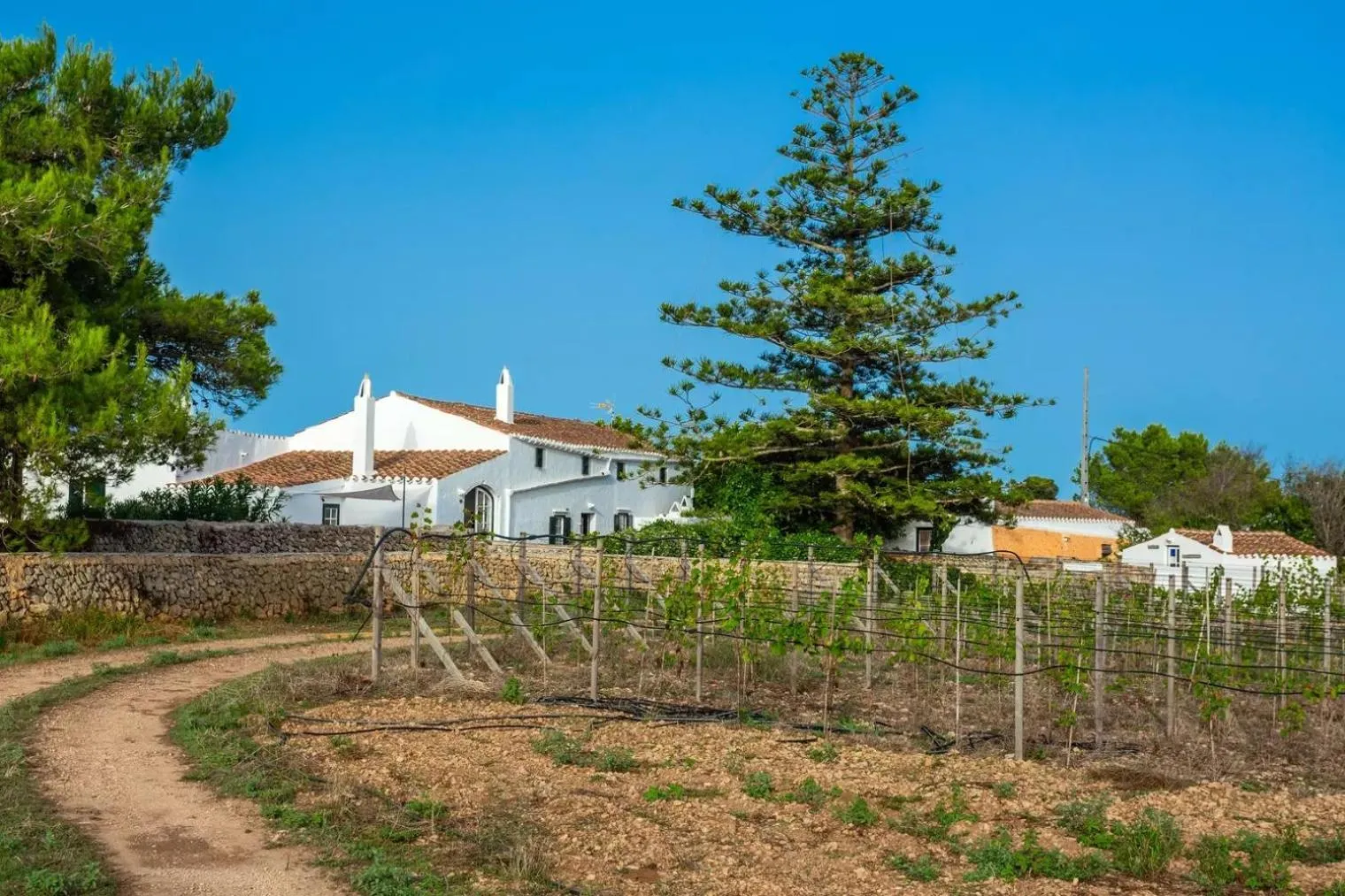 Menorca Agroturismo Llimpet