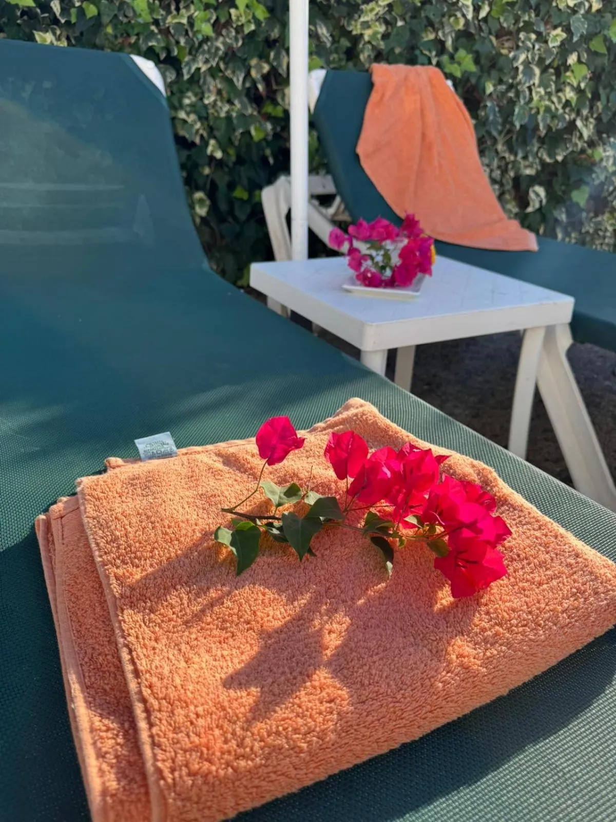 Menorca Agroturismo Llimpet