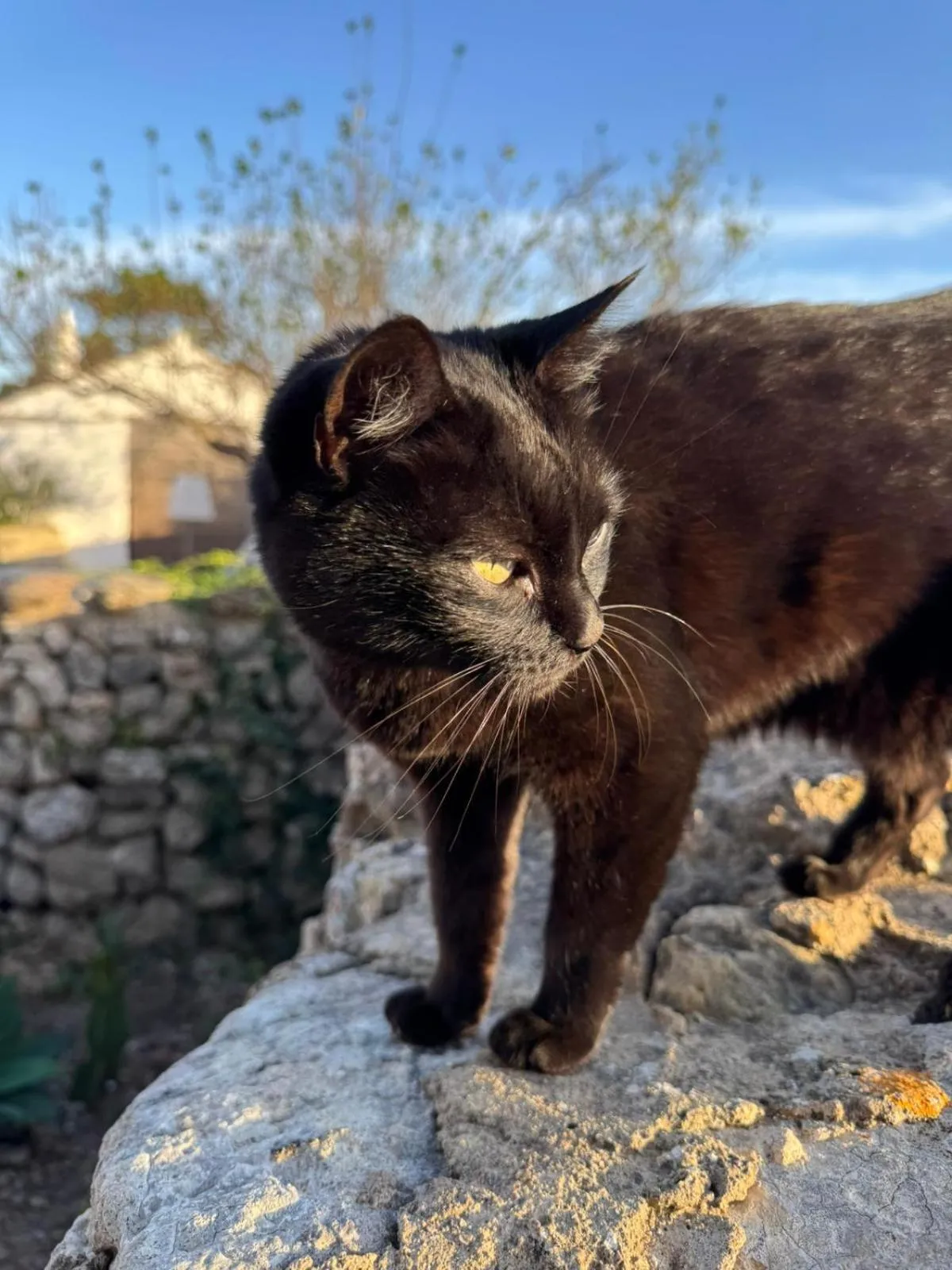 Menorca Agroturismo Llimpet