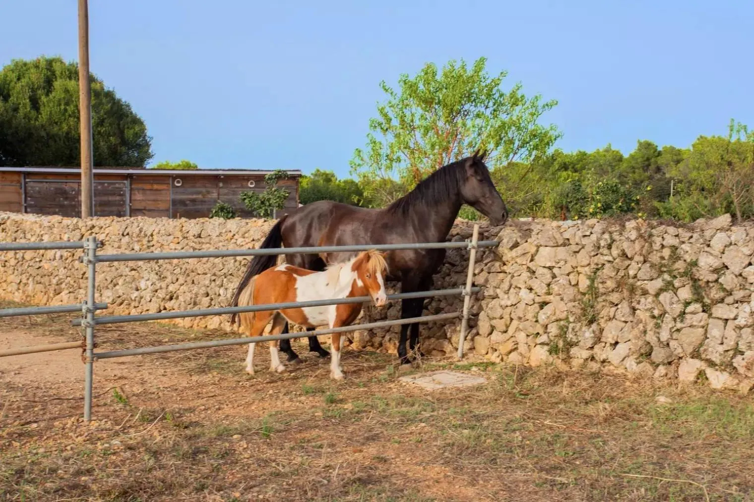 Menorca Agroturismo Llimpet