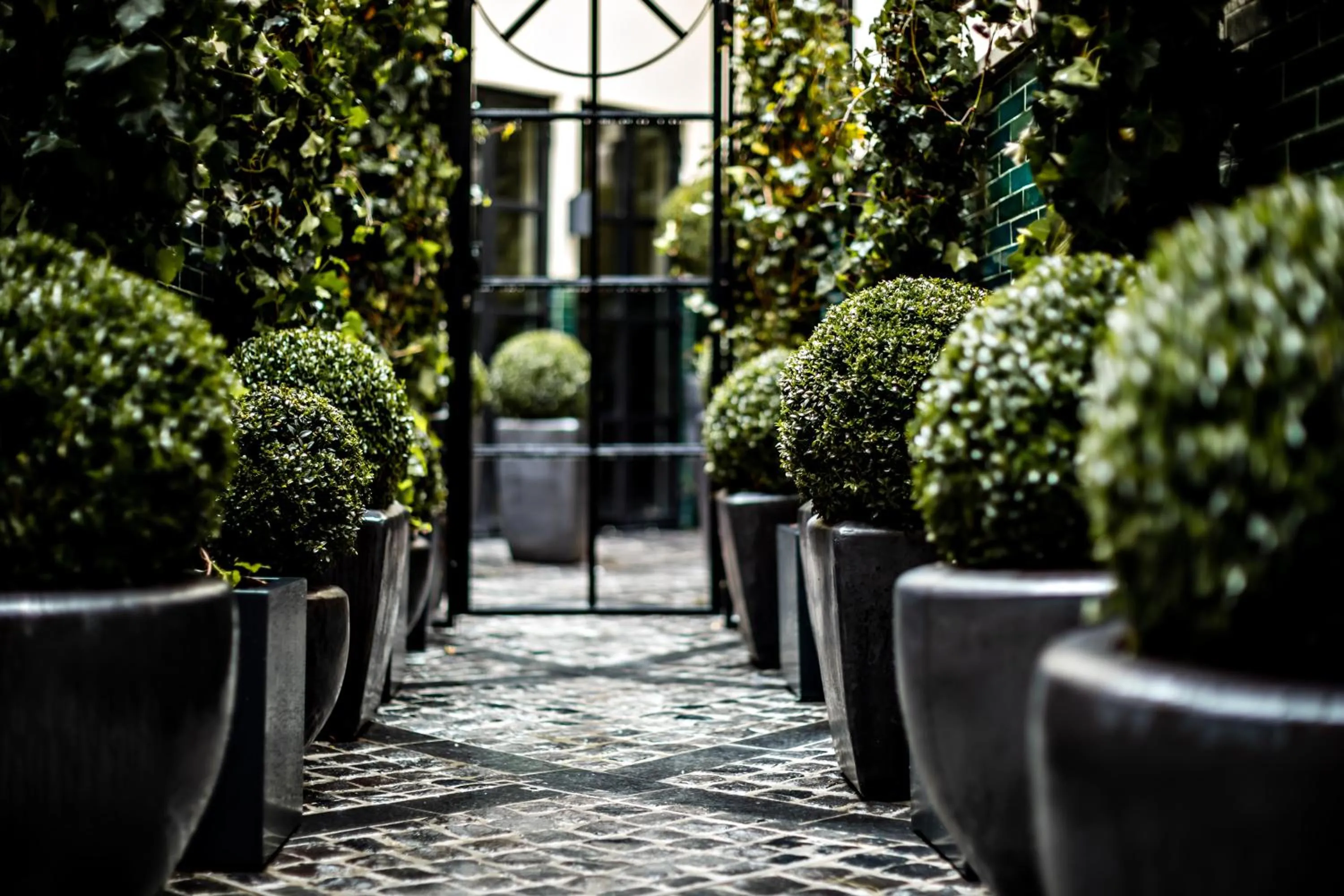 Garden in Monsieur George Hotel & Spa - Champs-Elysées