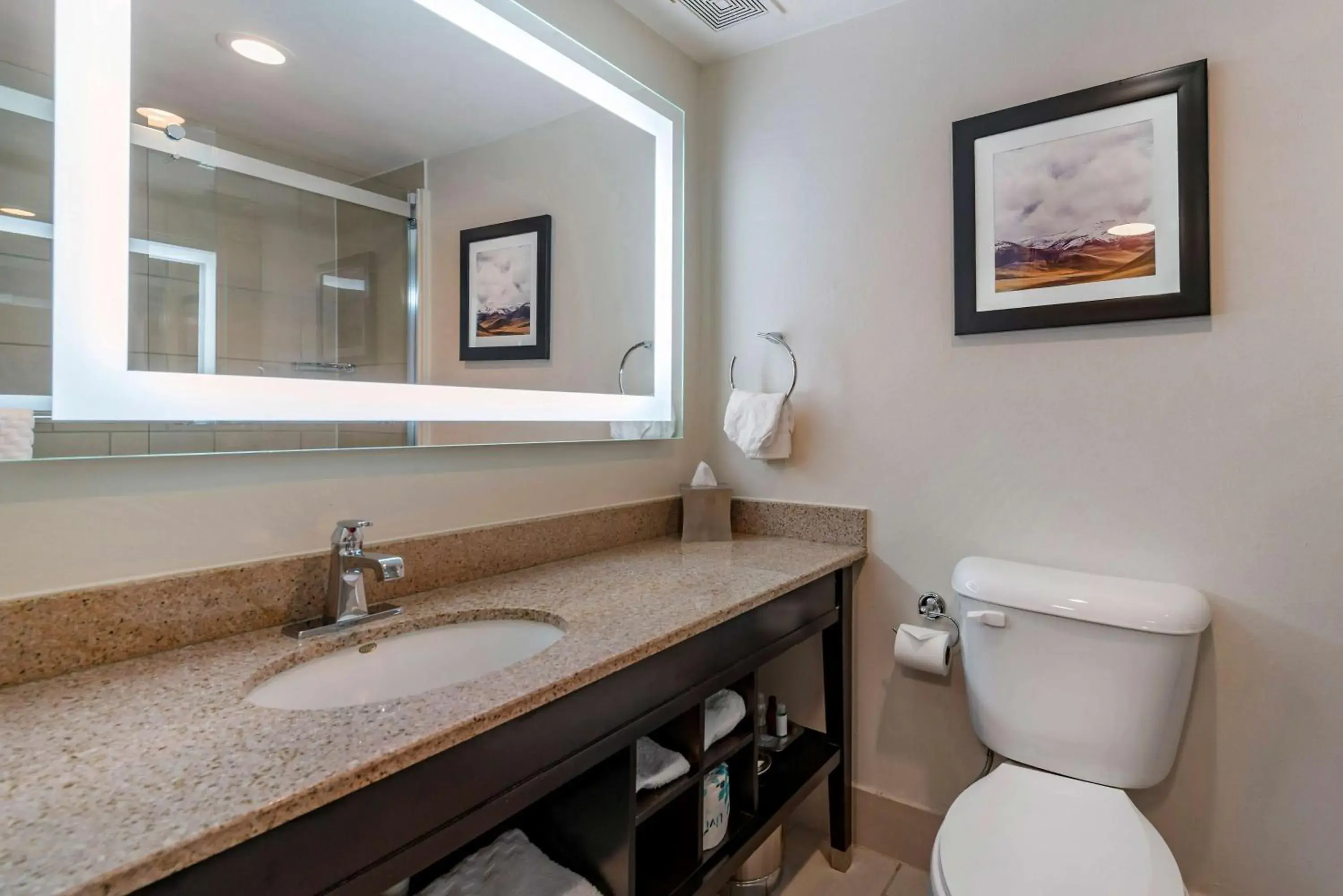 Bathroom in Best Western Premier Denver East Bathroom in Best Western Premier Denver East