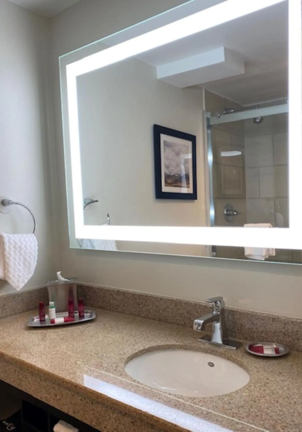 Bathroom in Best Western Premier Denver East