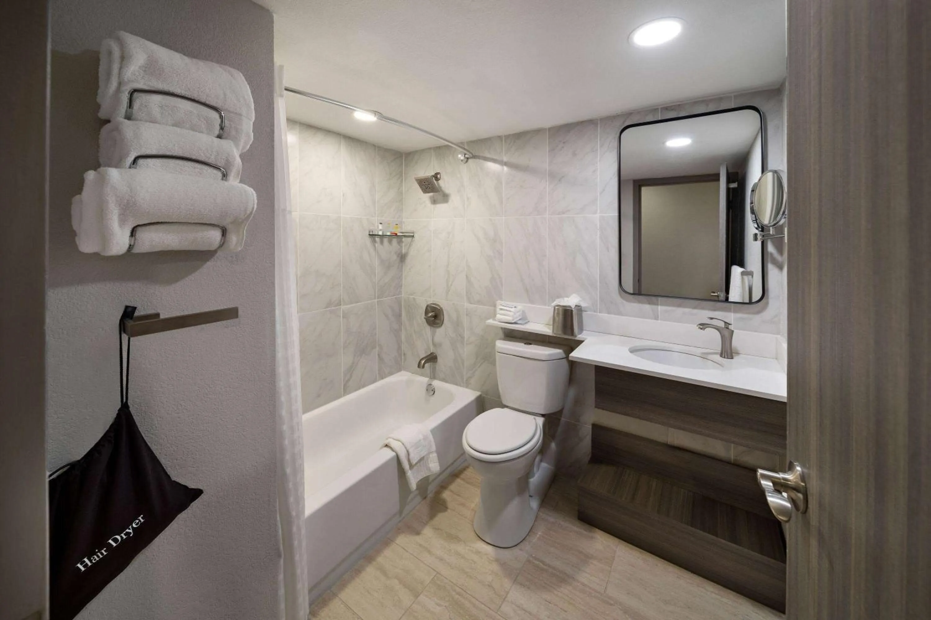 TV and multimedia in Wyndham DFW Airport