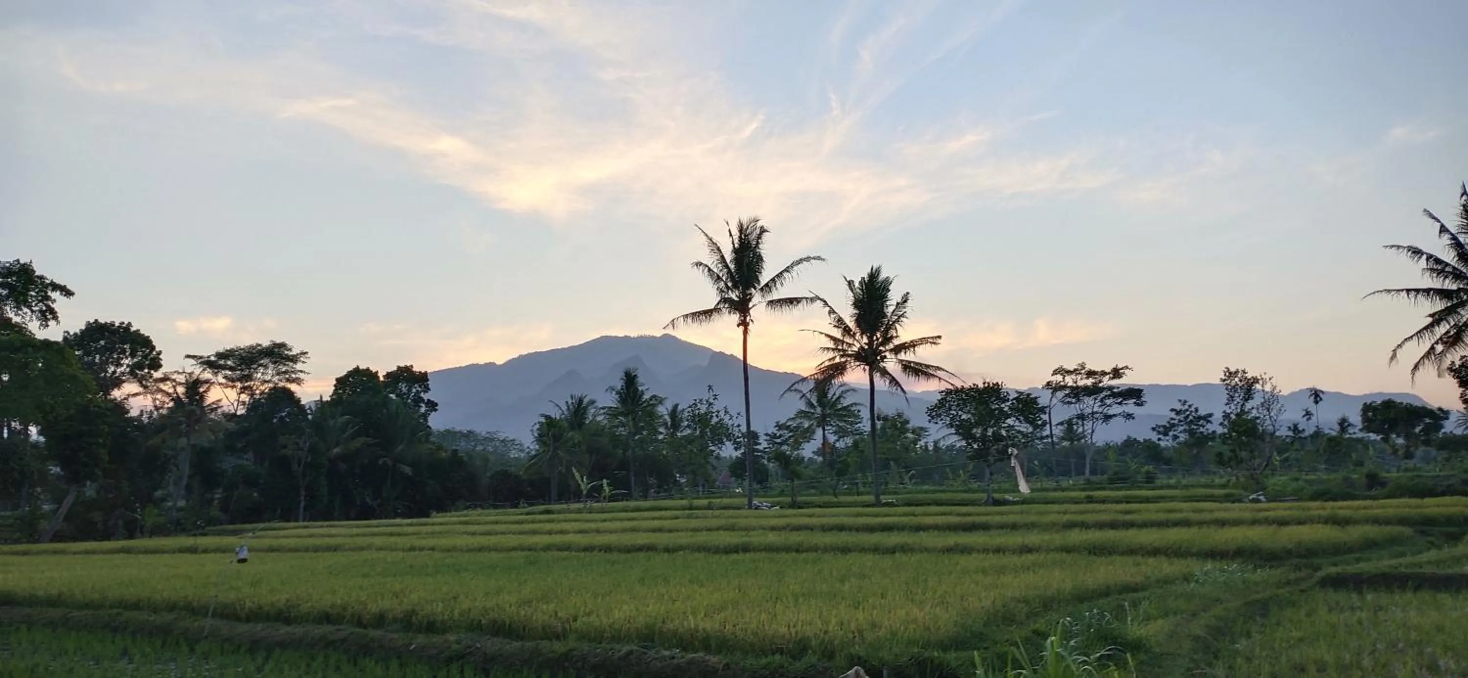 Natural landscape in Baratha Hotel & Resto