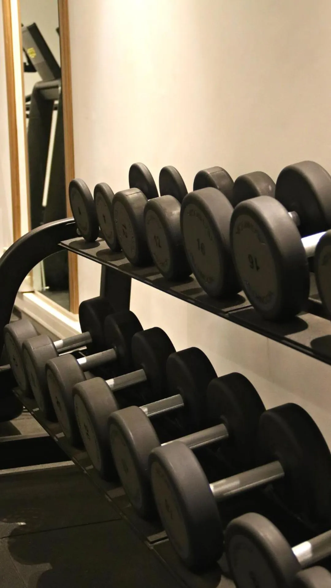 Fitness centre/facilities in New Hotel Piscine Wellness & Spa
