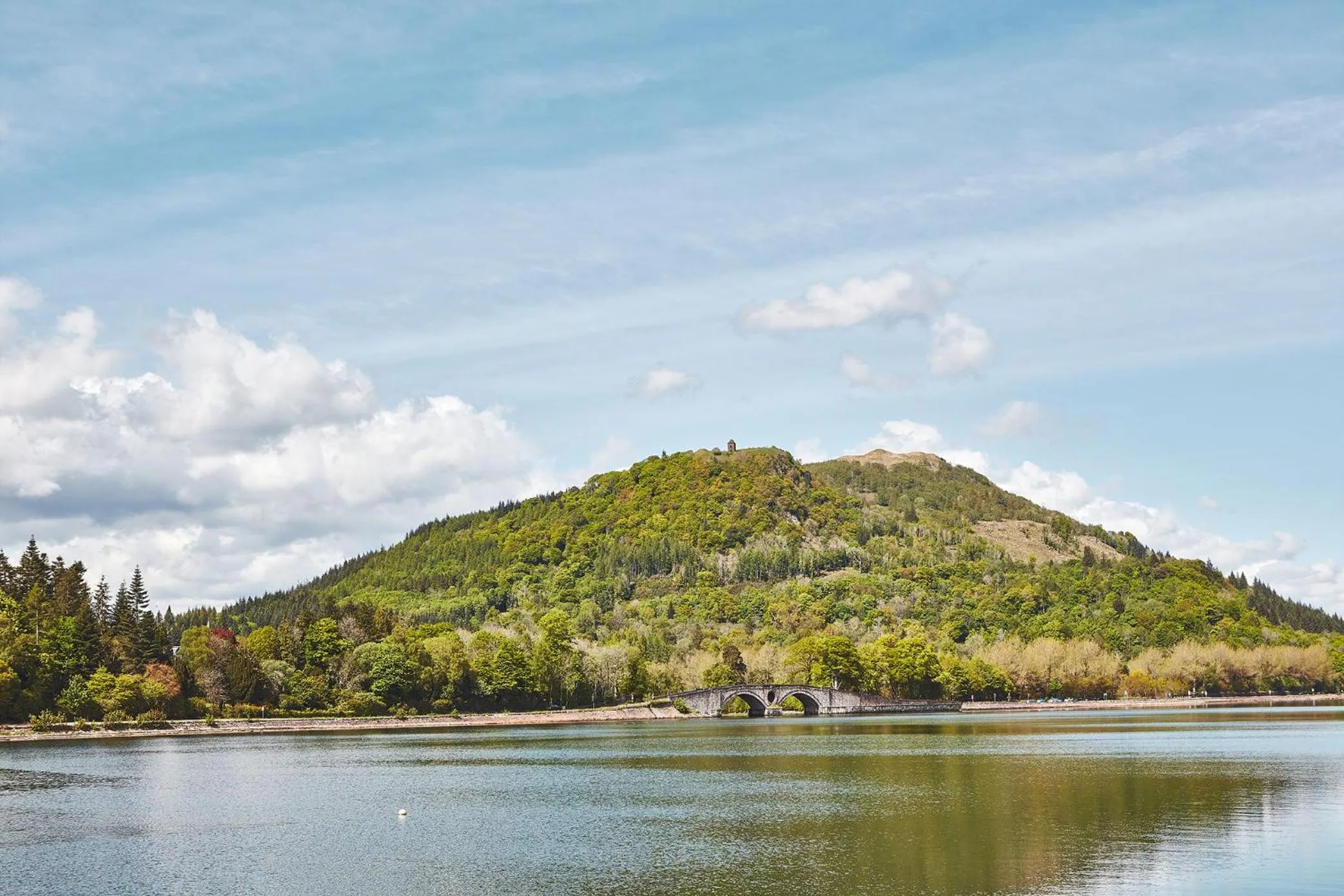 Neighbourhood in Brambles of Inveraray