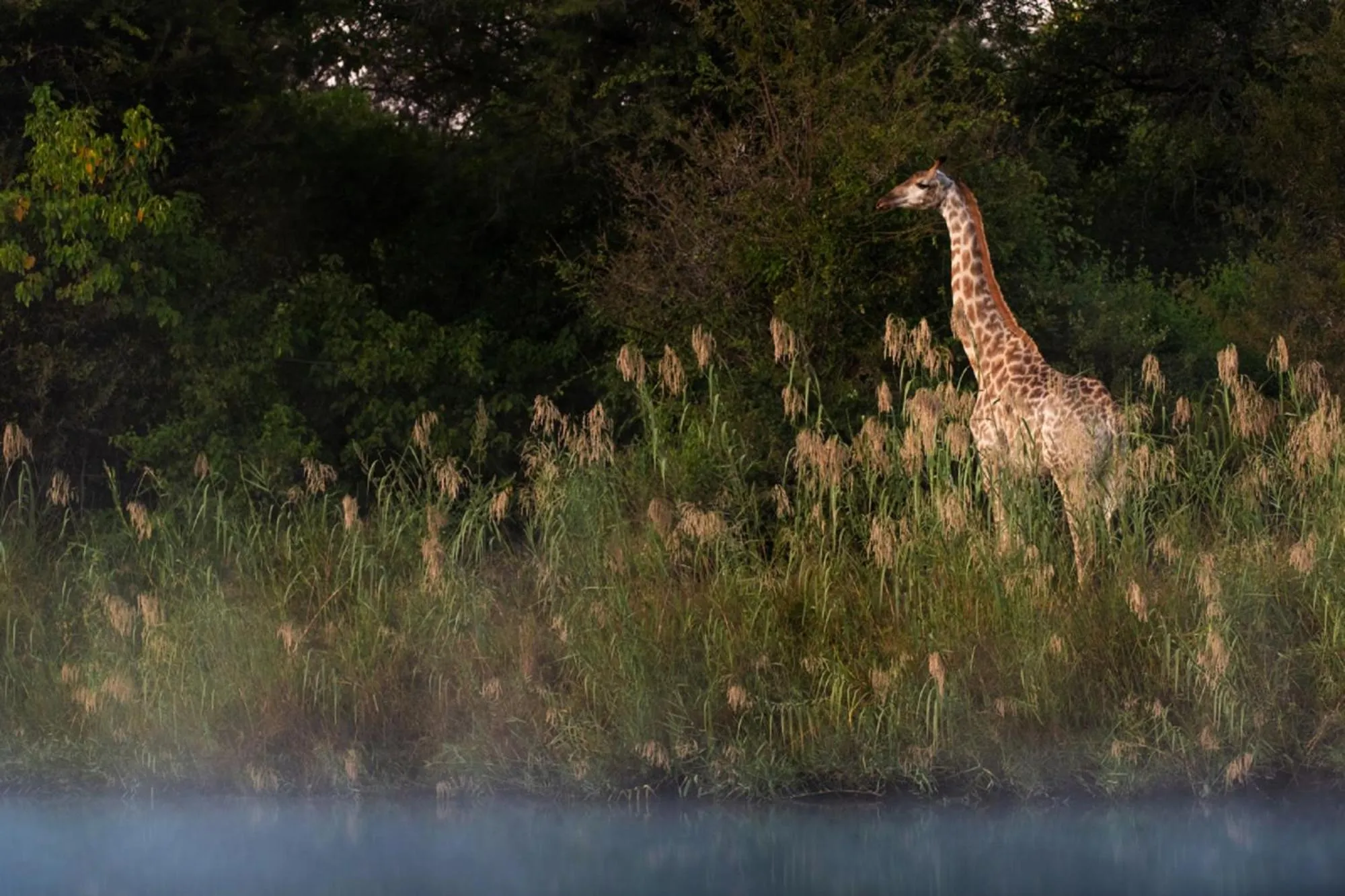 Activities in Abelana River Lodge
