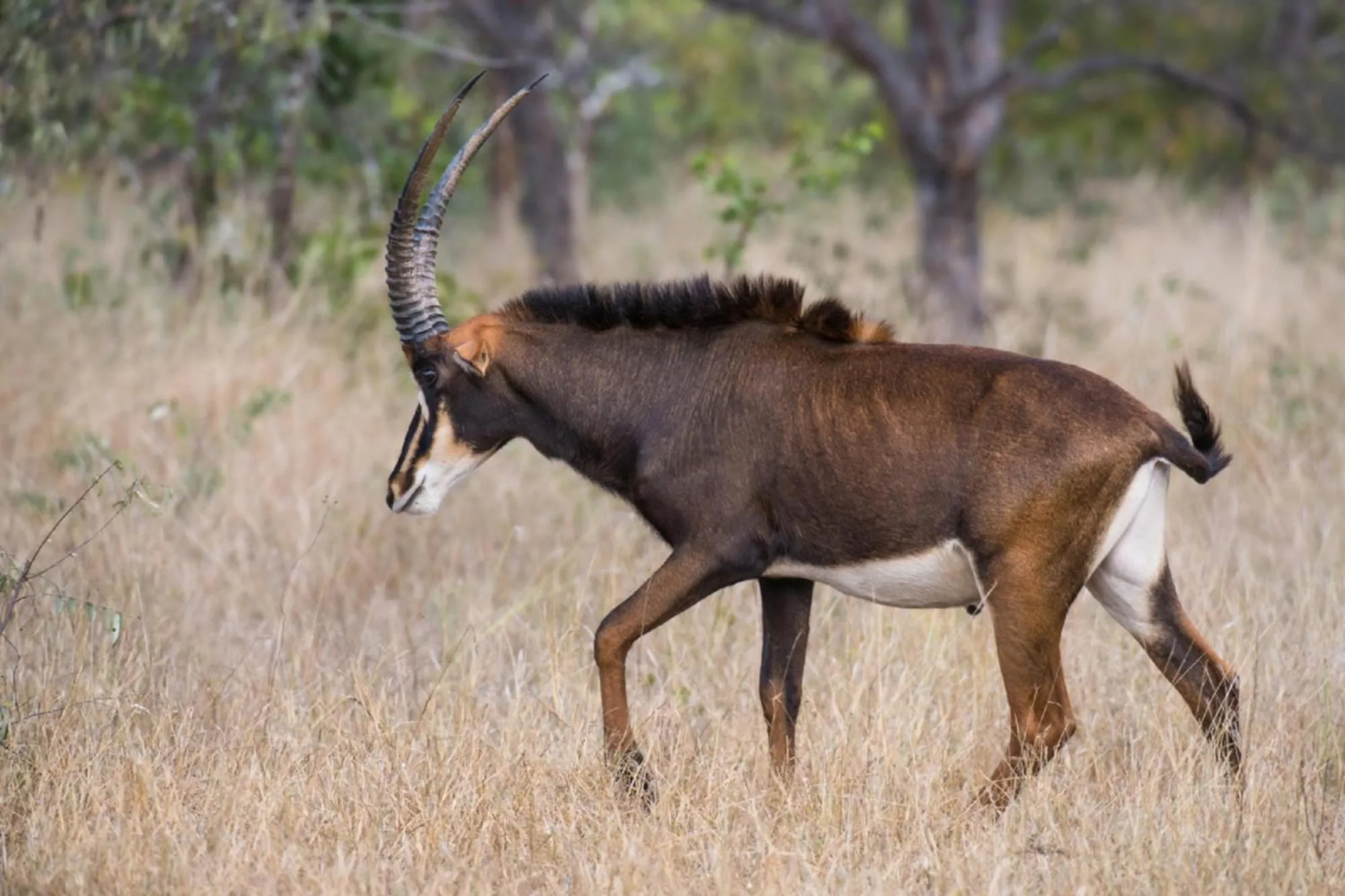 Activities in Abelana River Lodge