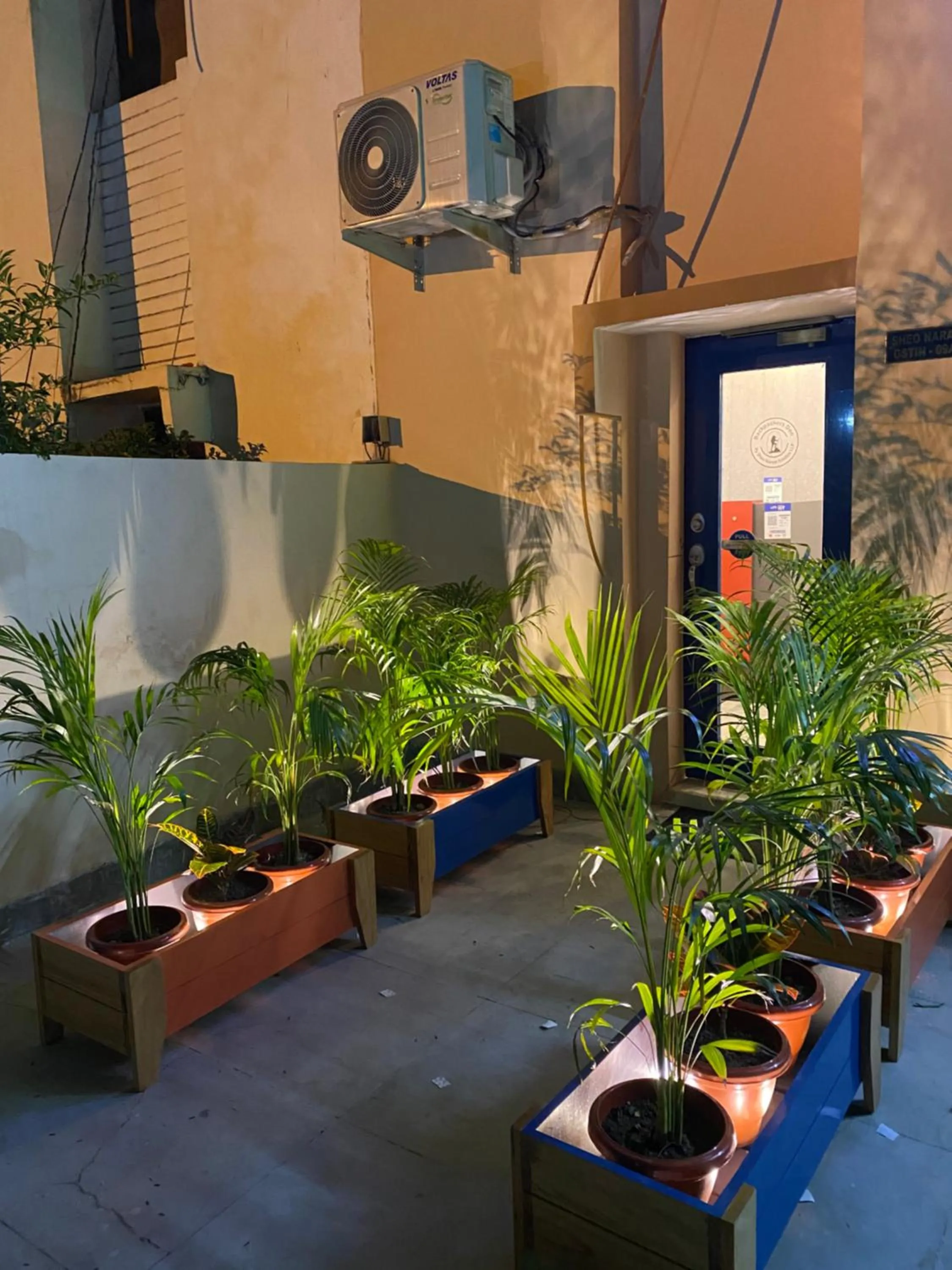 Garden in Backpackers Den