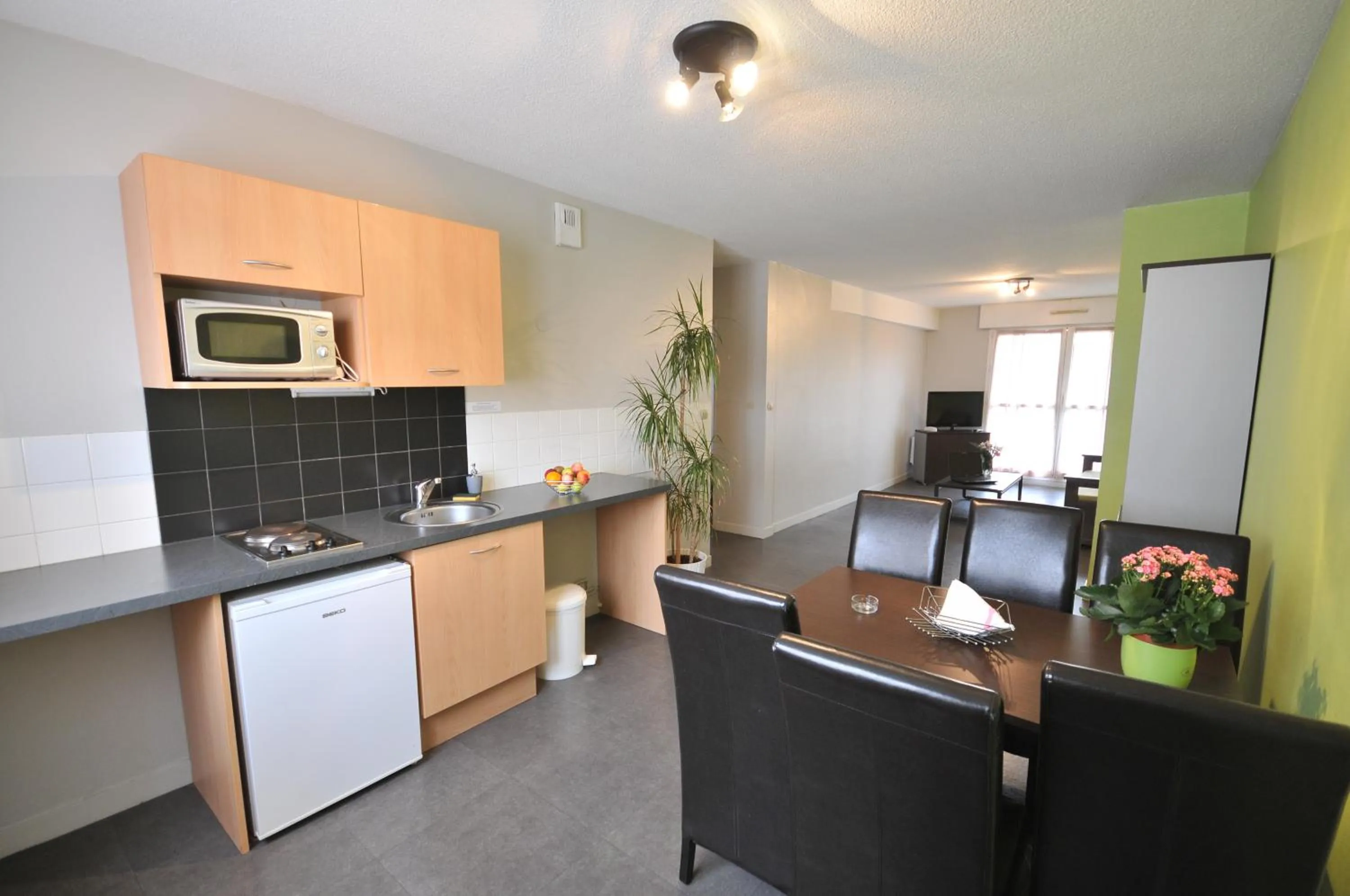 Kitchen or kitchenette in Appart'hotel Les Palatines