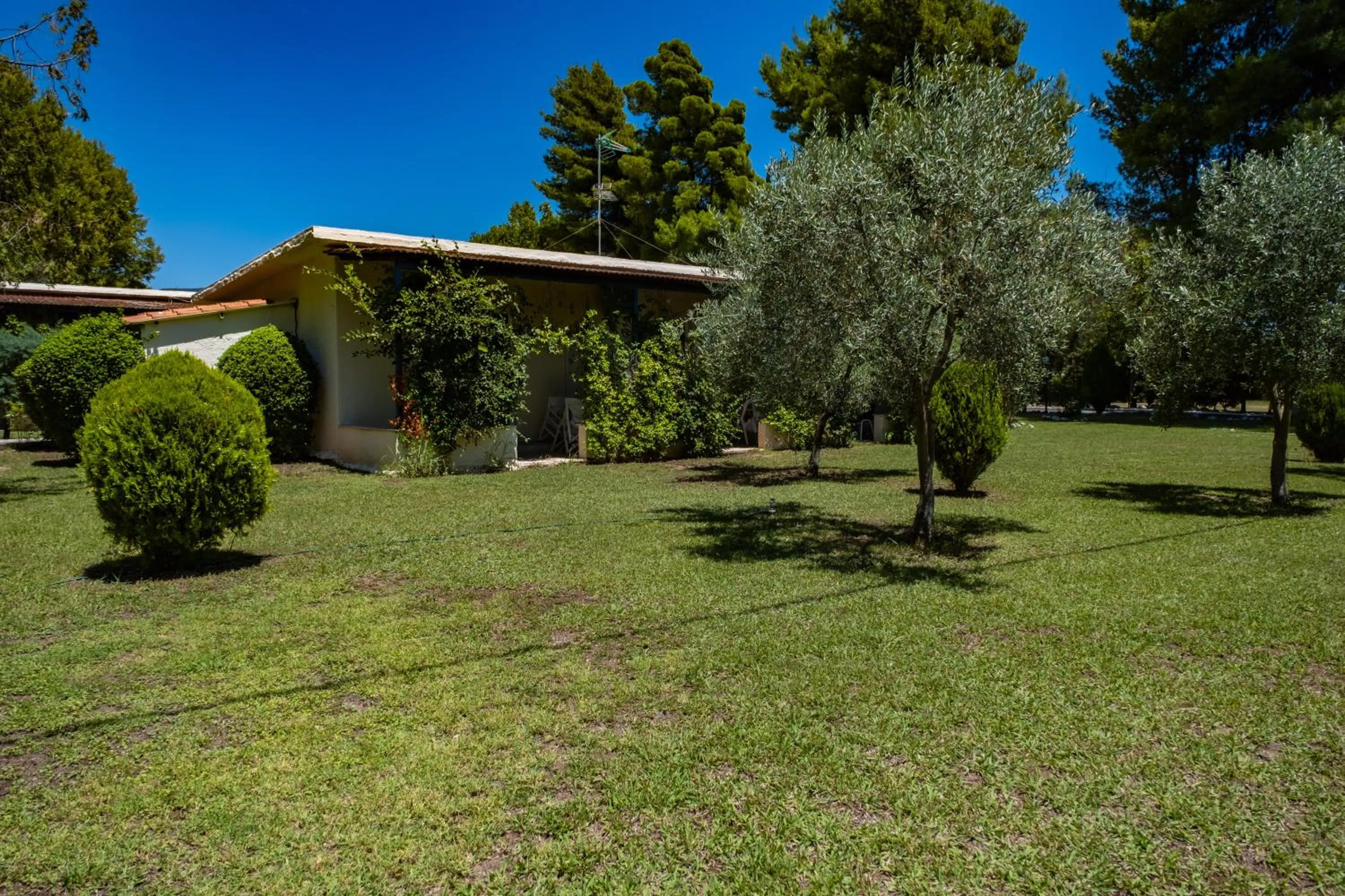 Garden in Tsamadanis Hotel & Bungalows Friends Family