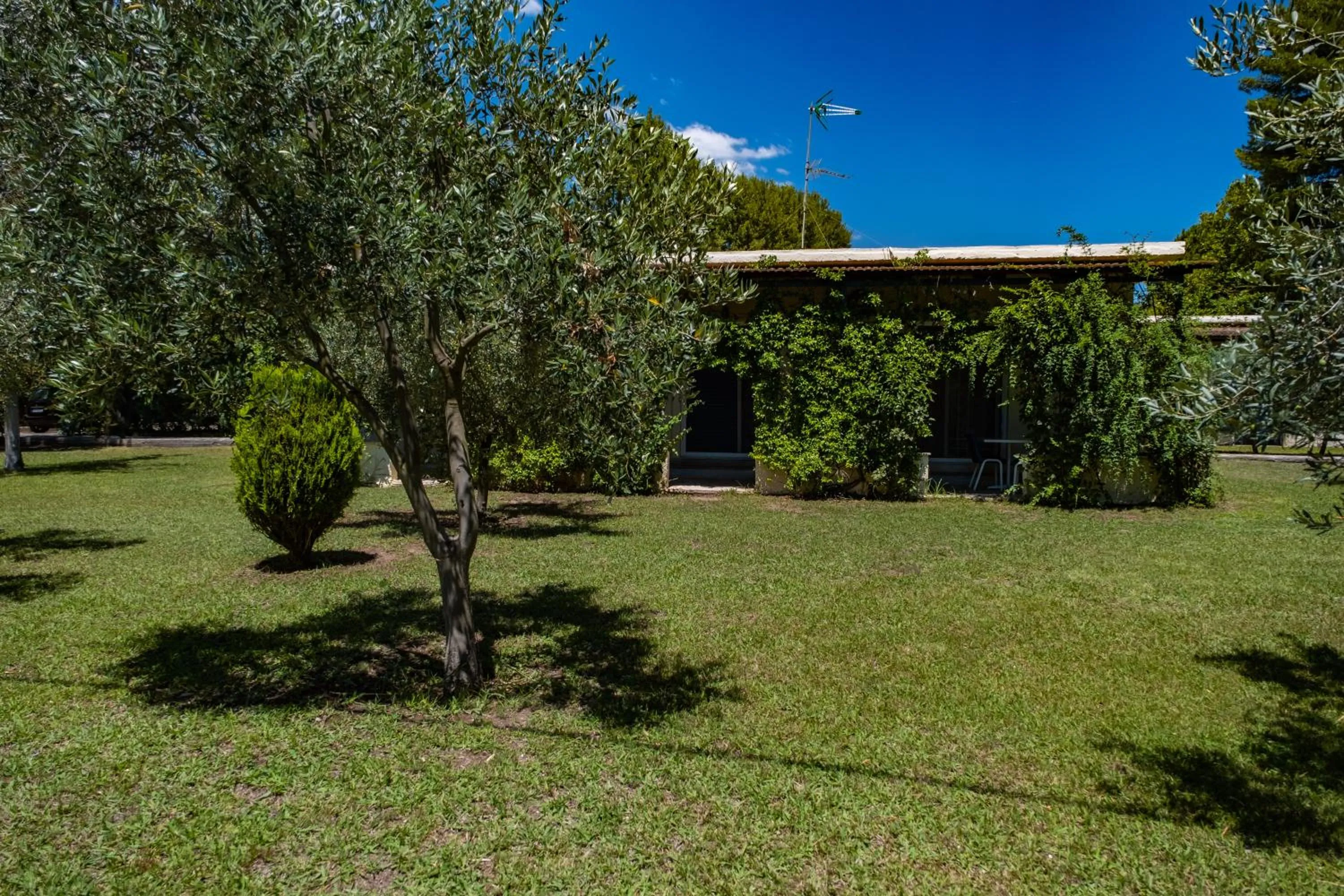 Garden in Tsamadanis Hotel & Bungalows Friends Family