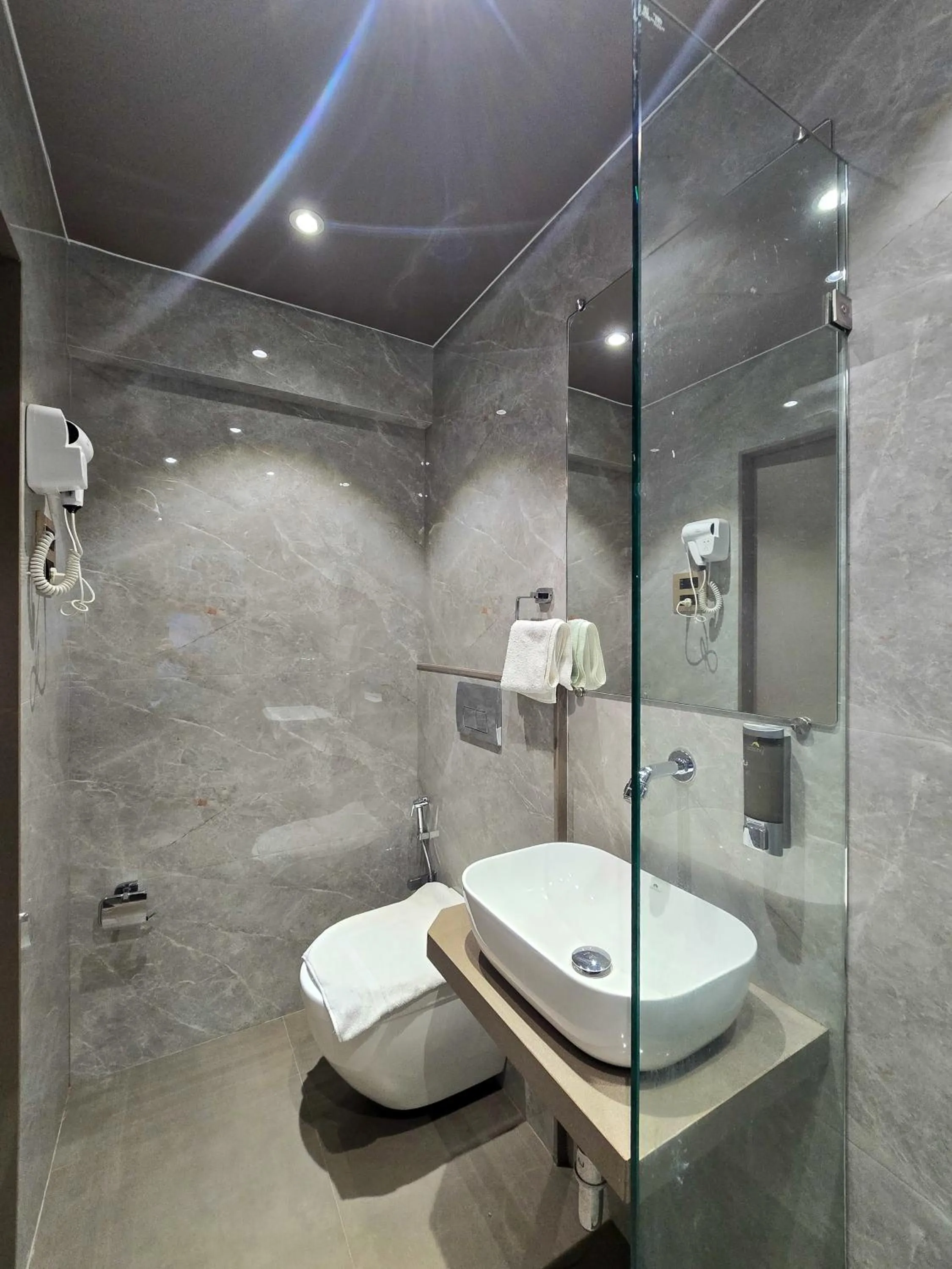 Toilet in Hotel Kalpana Palace, Mumbai