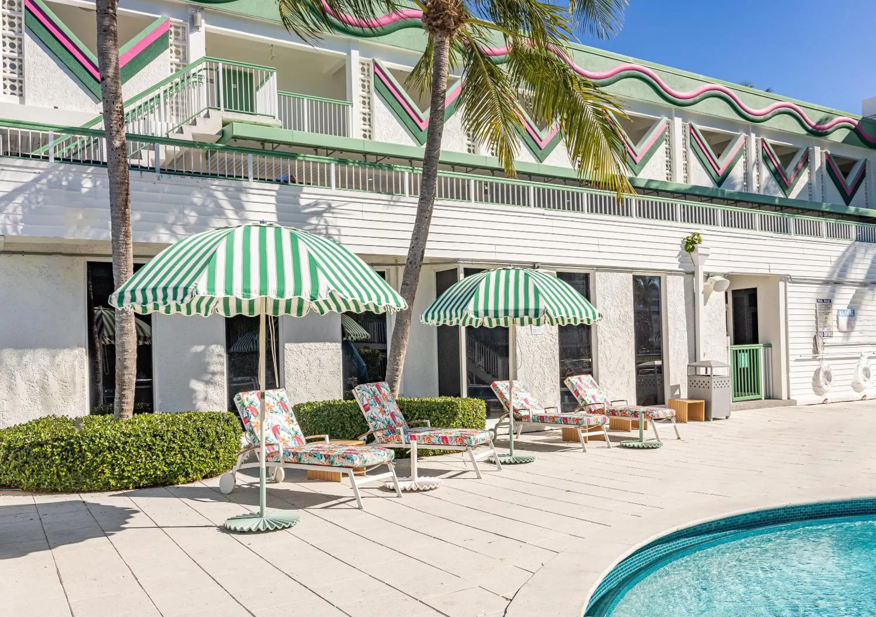 sunbed in Palm Tree Club Miami sunbed in Palm Tree Club Miami