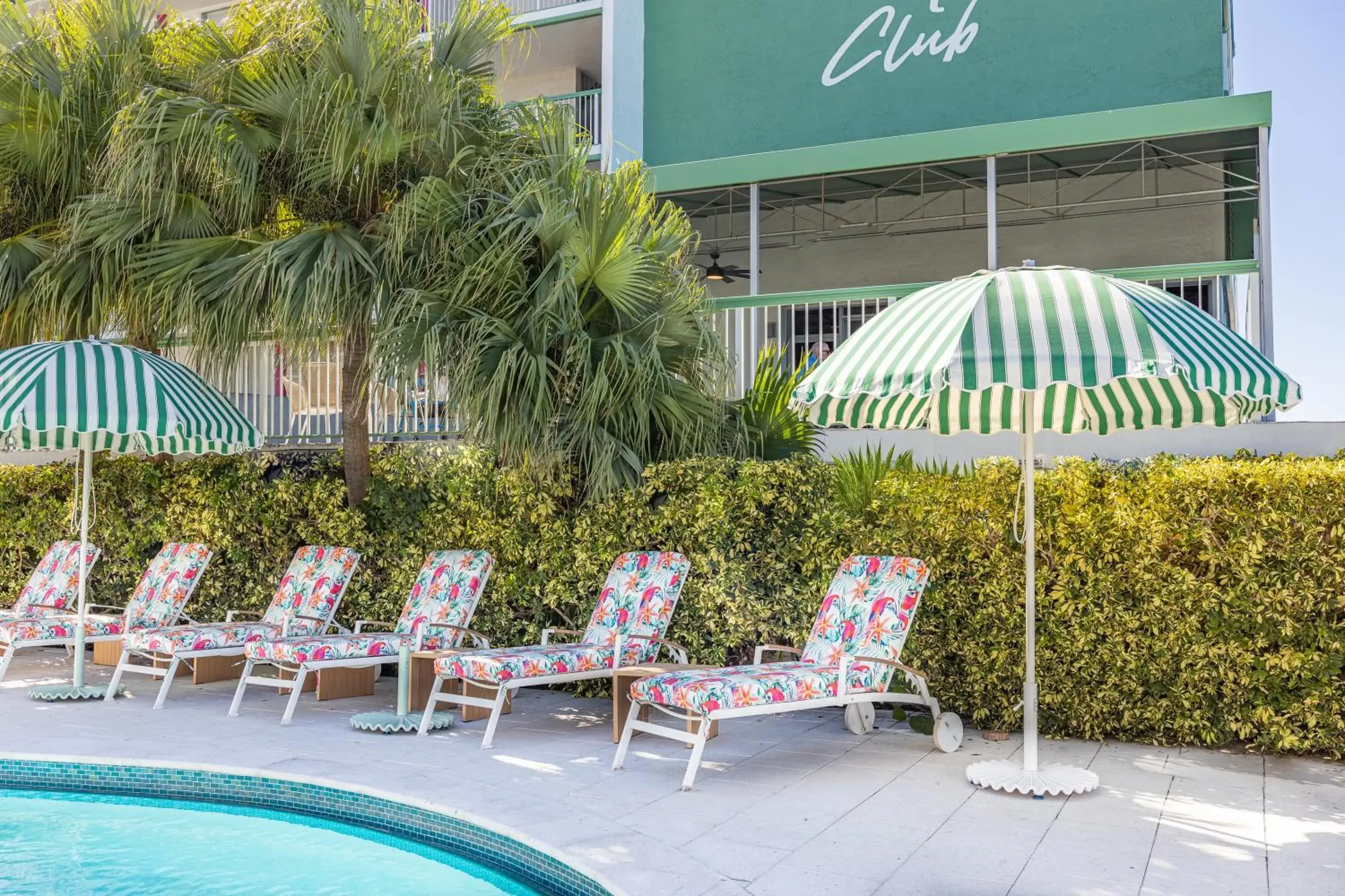 sunbed in Palm Tree Club Miami sunbed in Palm Tree Club Miami