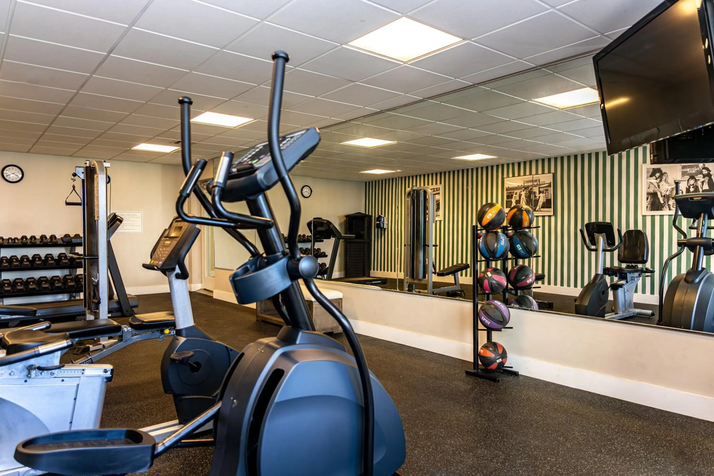 Fitness centre/facilities in Palm Tree Club Miami