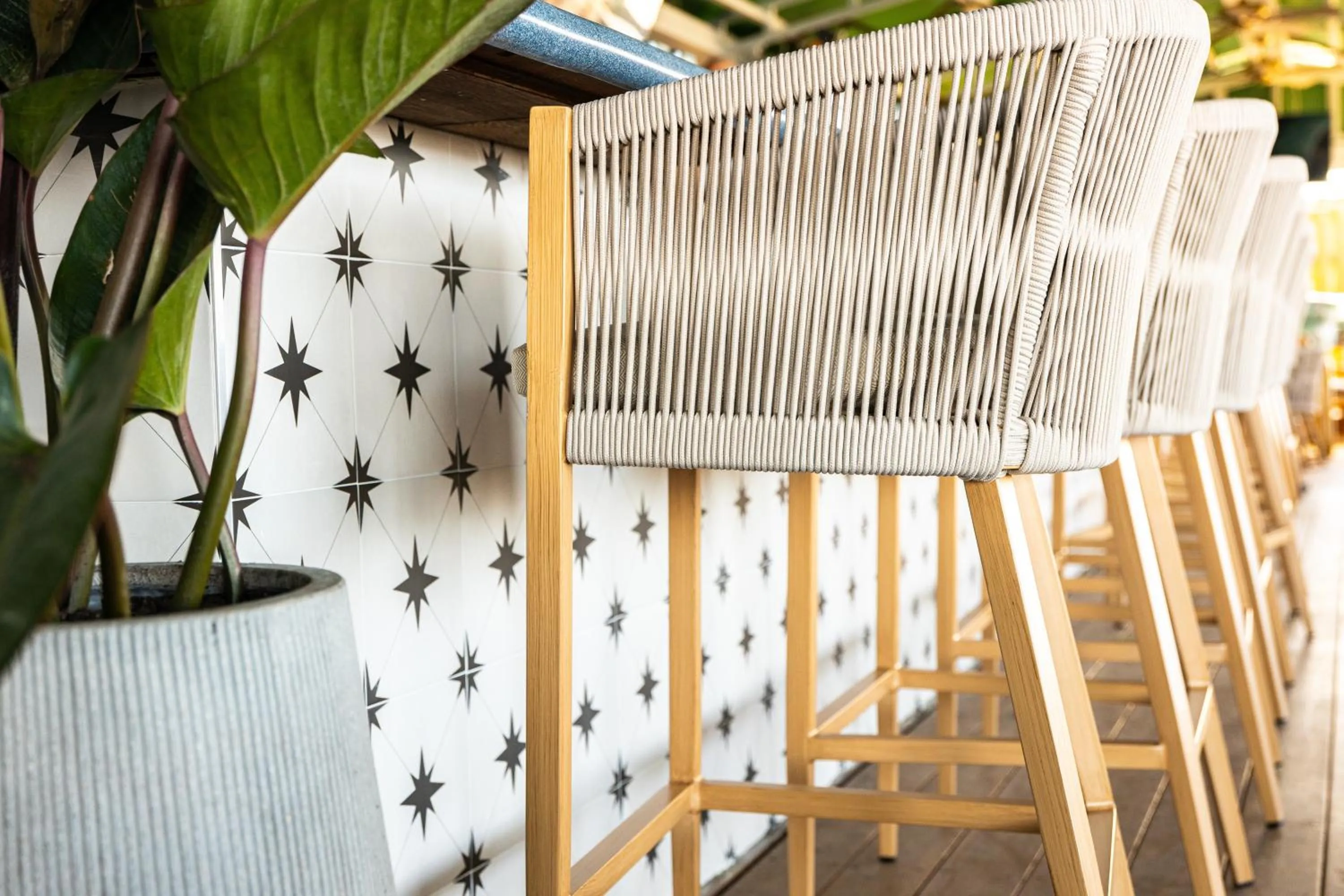 Lounge or bar in Palm Tree Club Miami