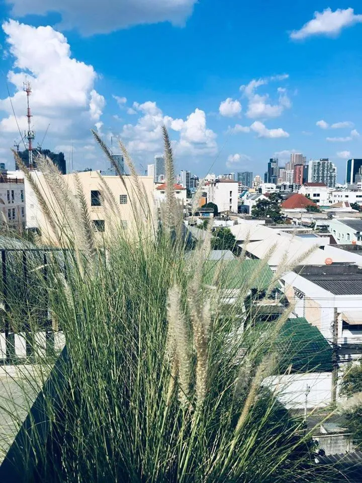 City view in The LOCAL Ari