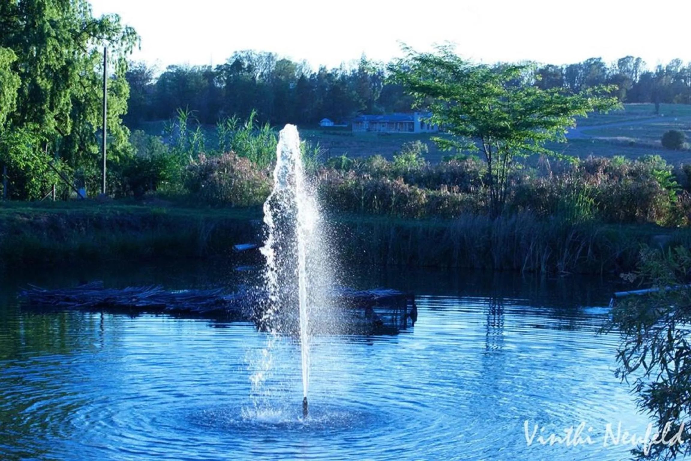Fishing in Lanseria Country Estate