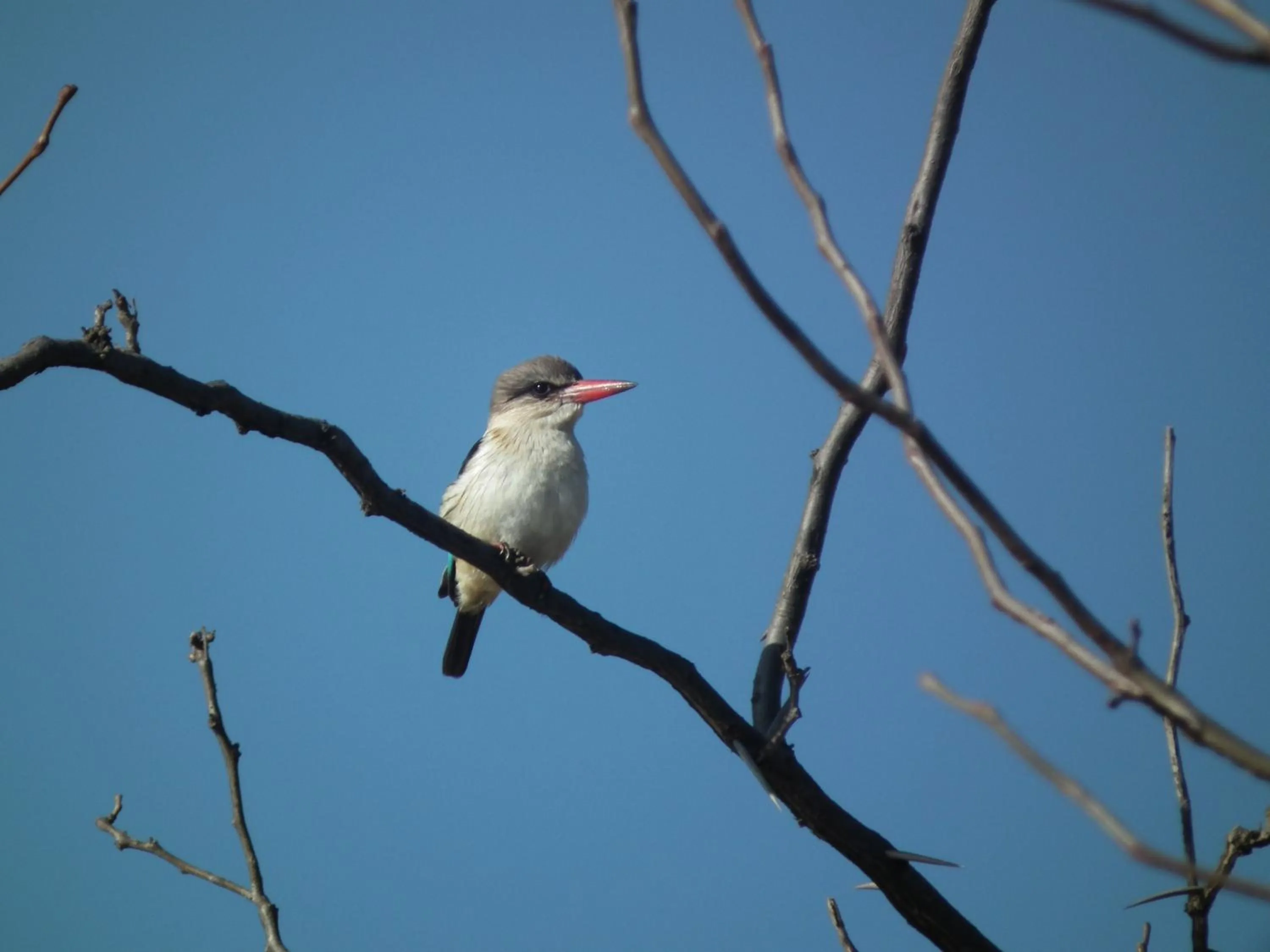 Day in Lanseria Country Estate