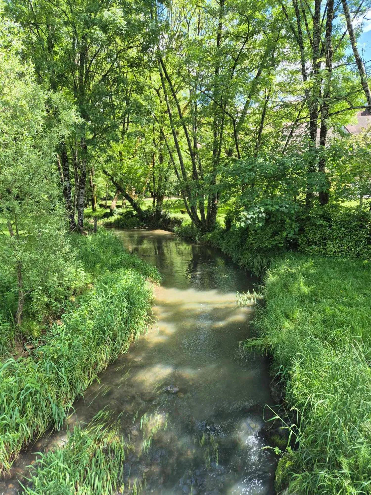 River view in Au lavoir du Serein "L'Eventail"