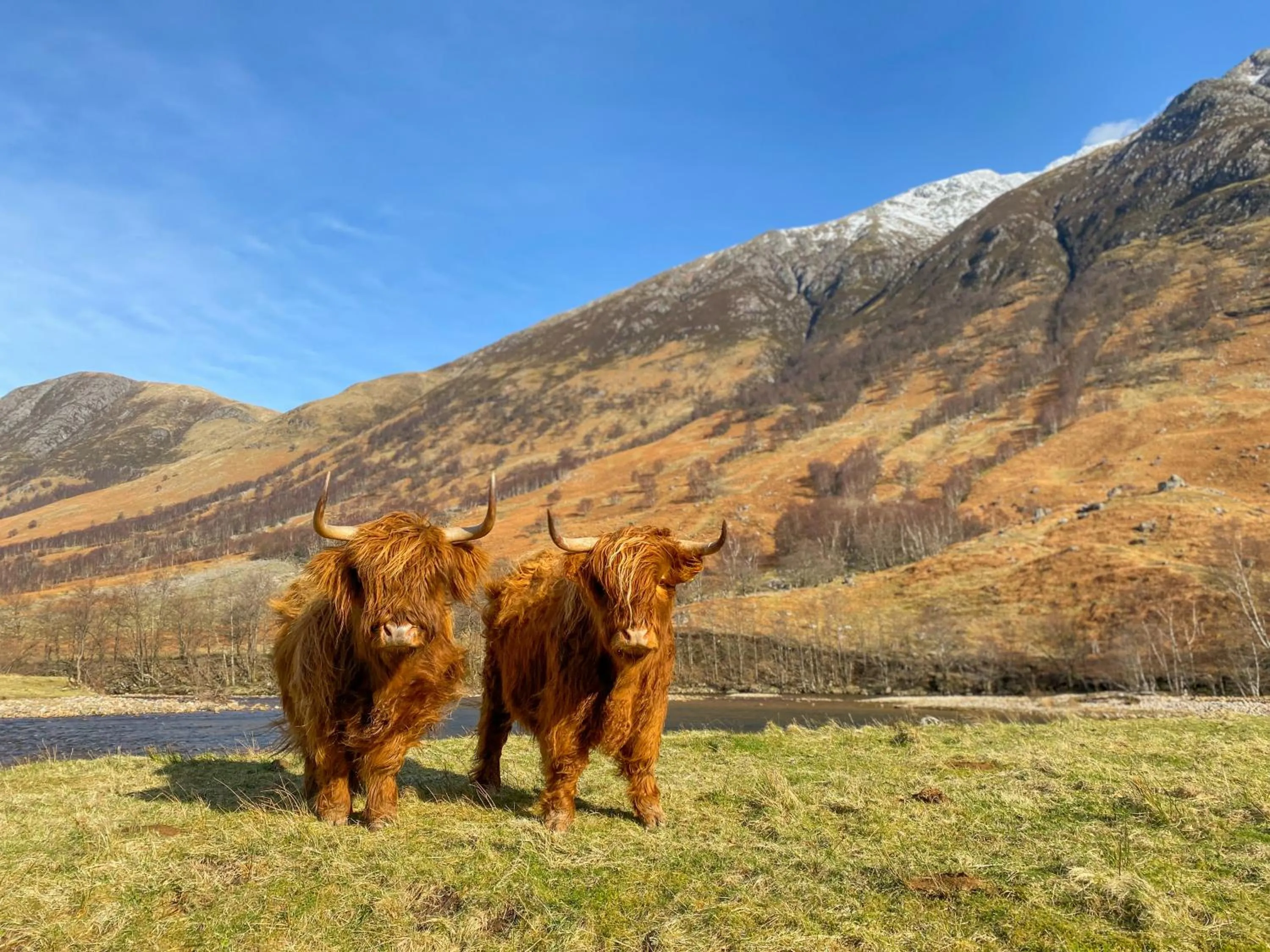 Nearby landmark in Glen Nevis Holidays