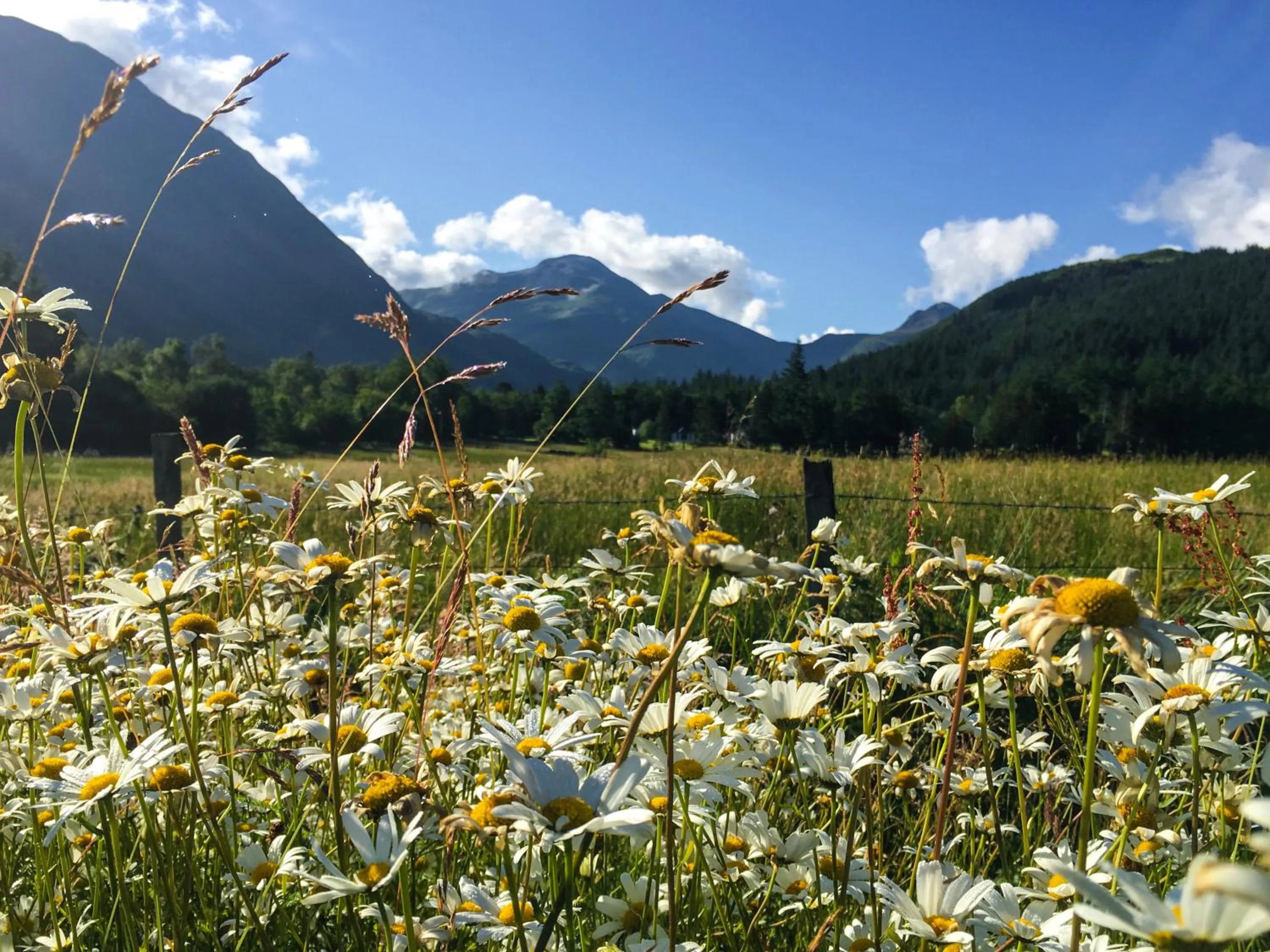 Nearby landmark in Glen Nevis Holidays