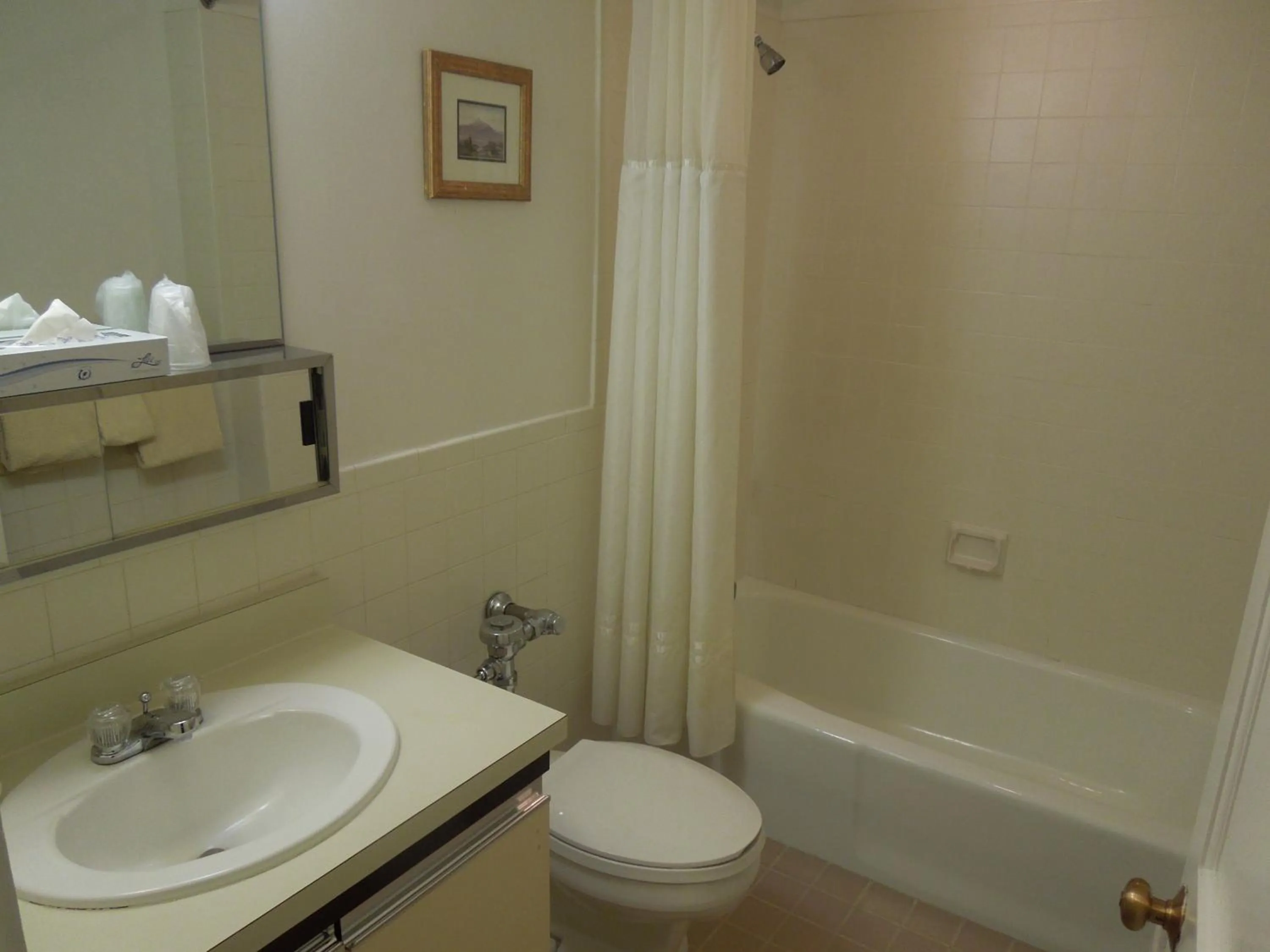 Bathroom in Eastern Slope Inn Resort