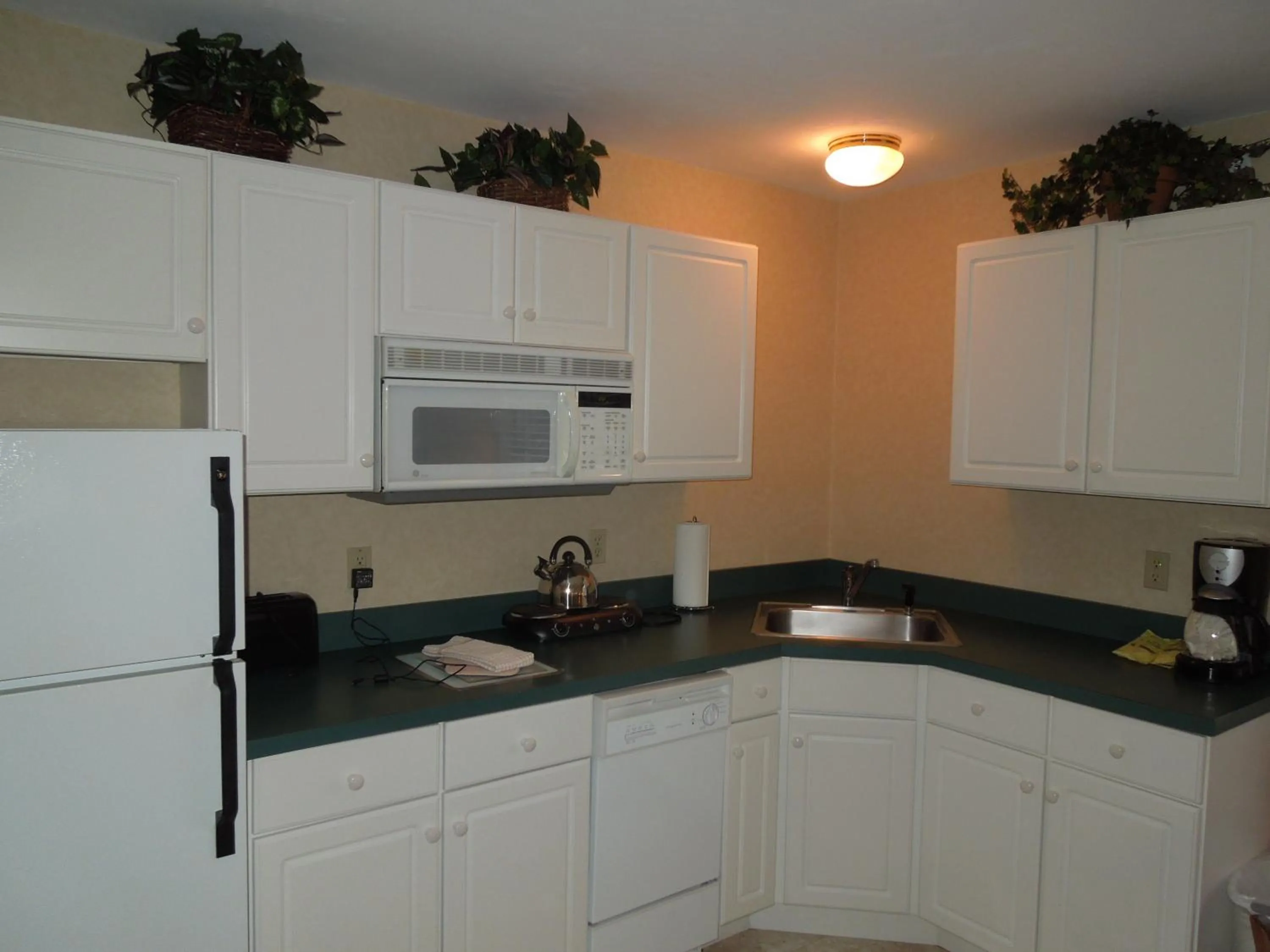 Kitchen or kitchenette in Eastern Slope Inn Resort