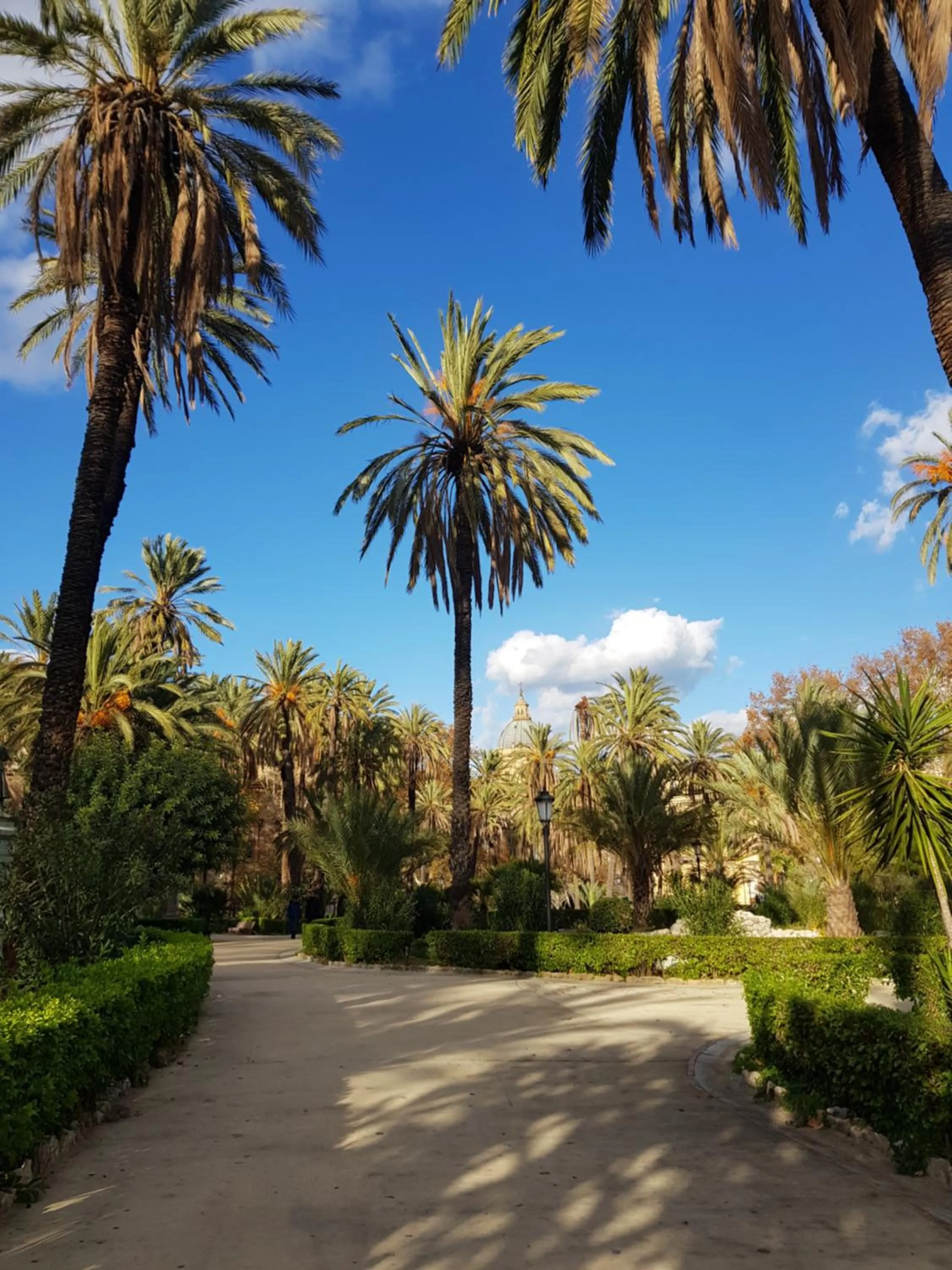 Nearby landmark in Solli Rooms