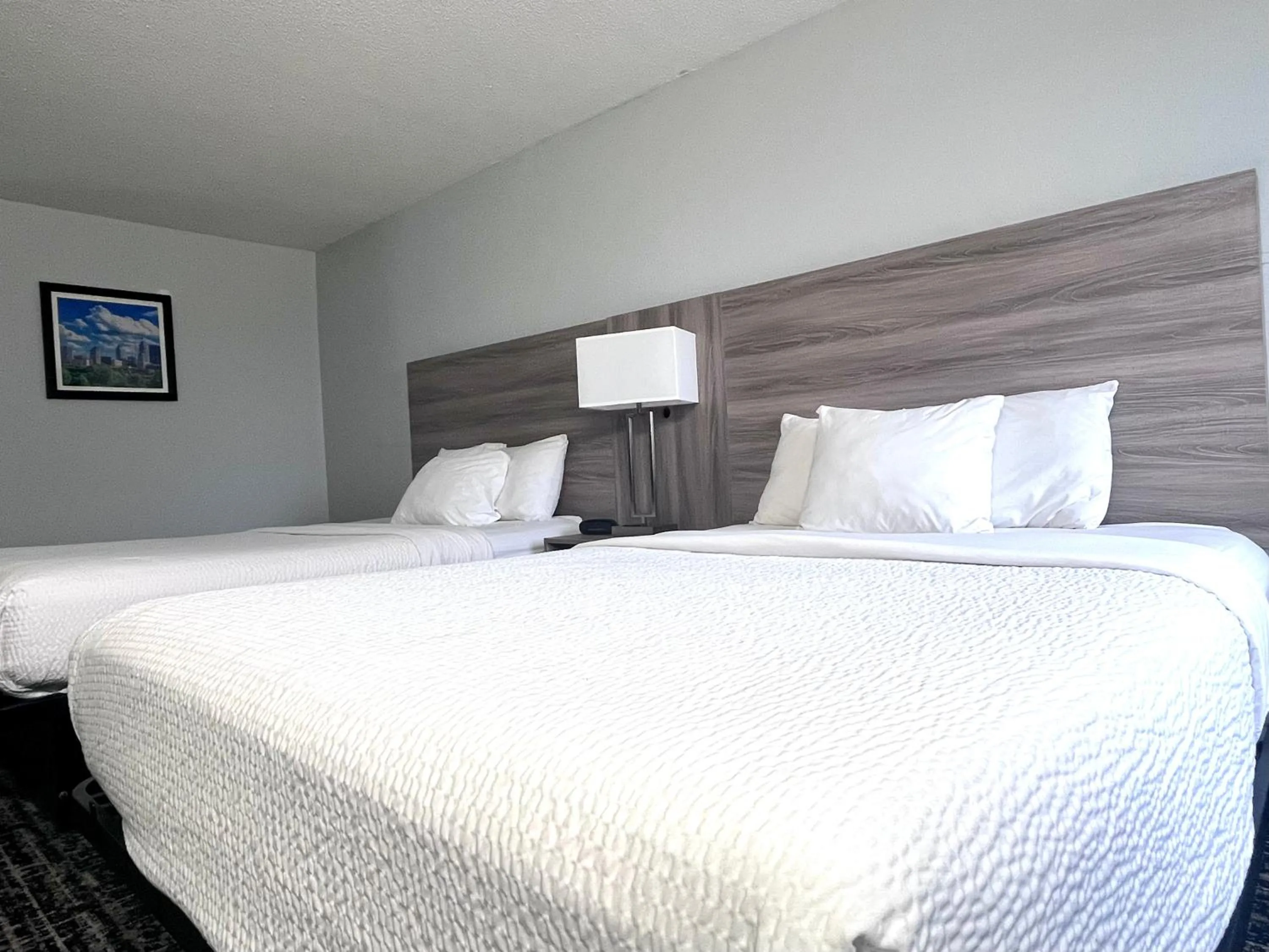 Bedroom, Bed in Baymont by Wyndham Indianapolis South