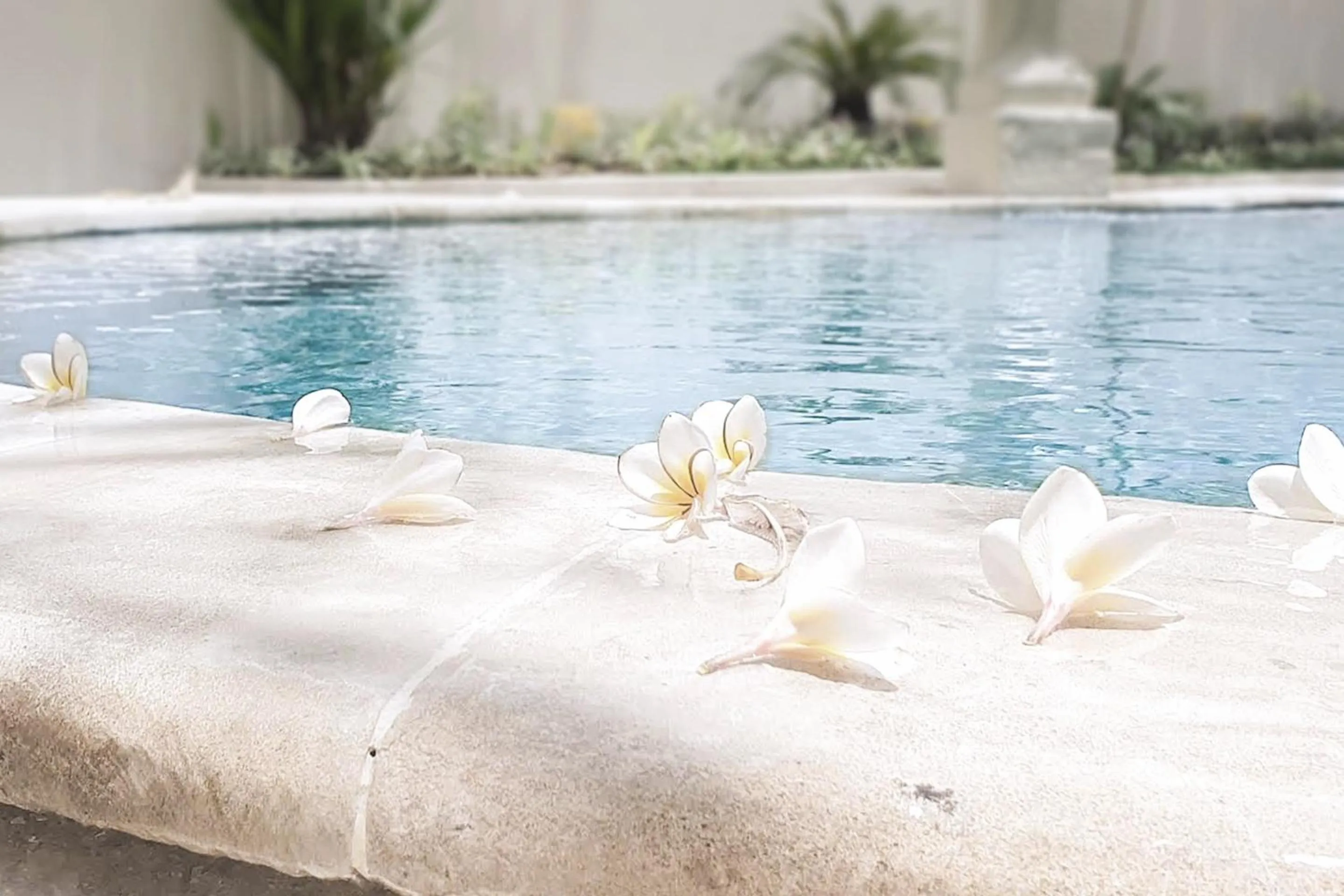 Villa de Malicott Athena Seminyak