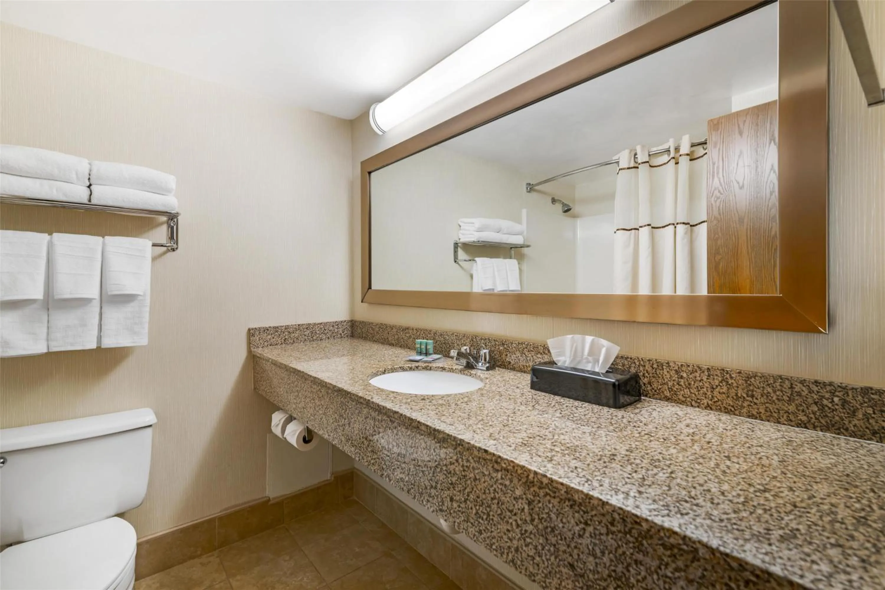 Bathroom in Best Western Royal Plaza Hotel and Trade Center